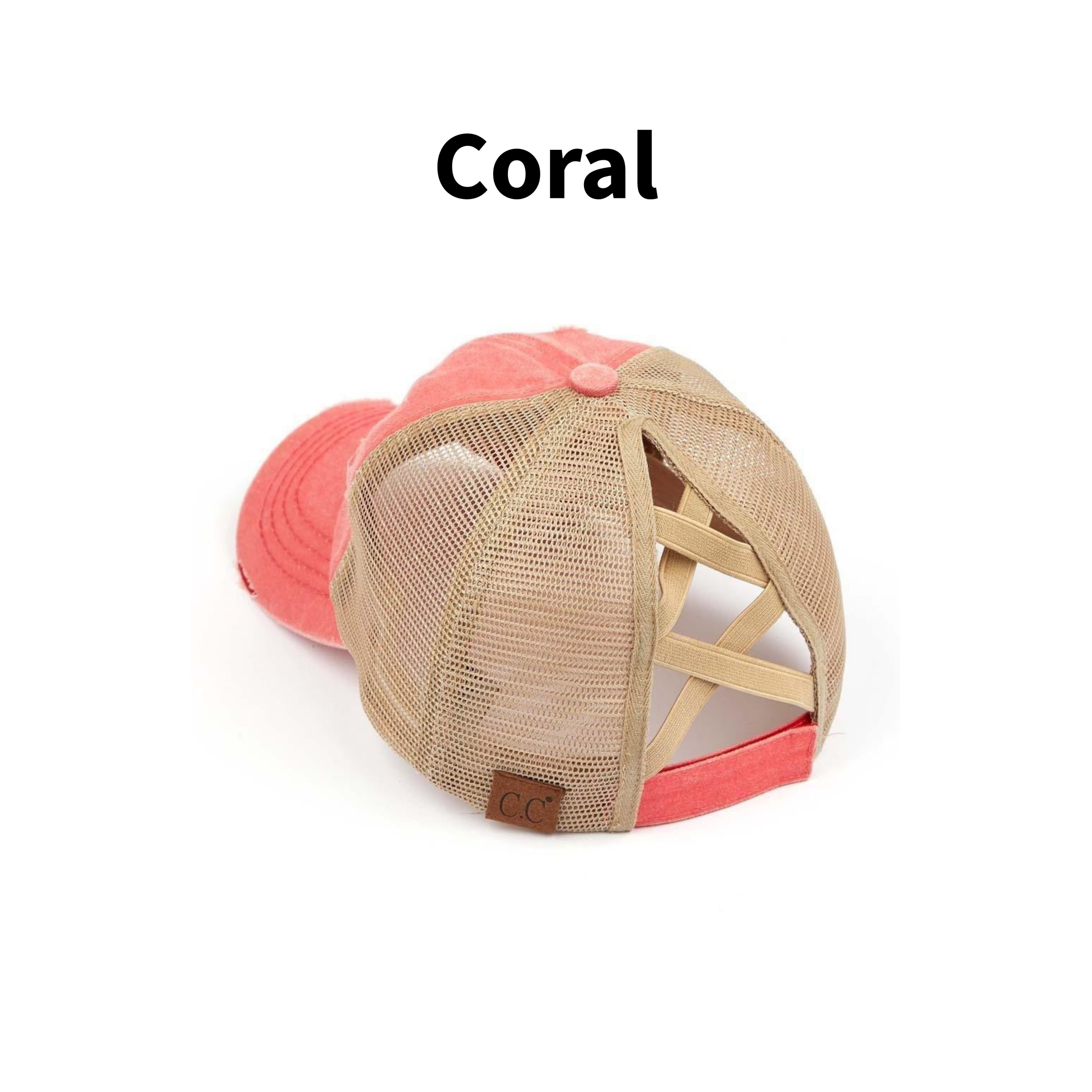 Coral 2.png