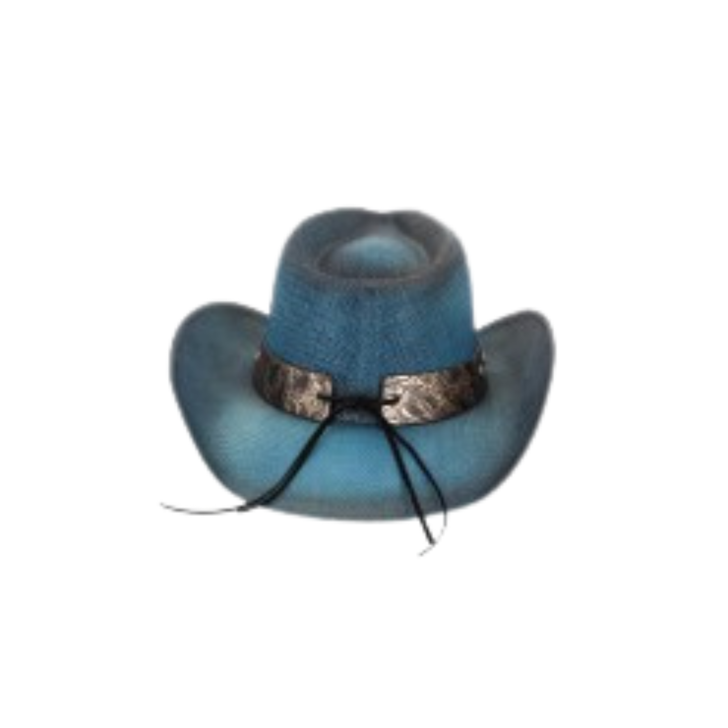Blue Cowgirl Hat-3.png