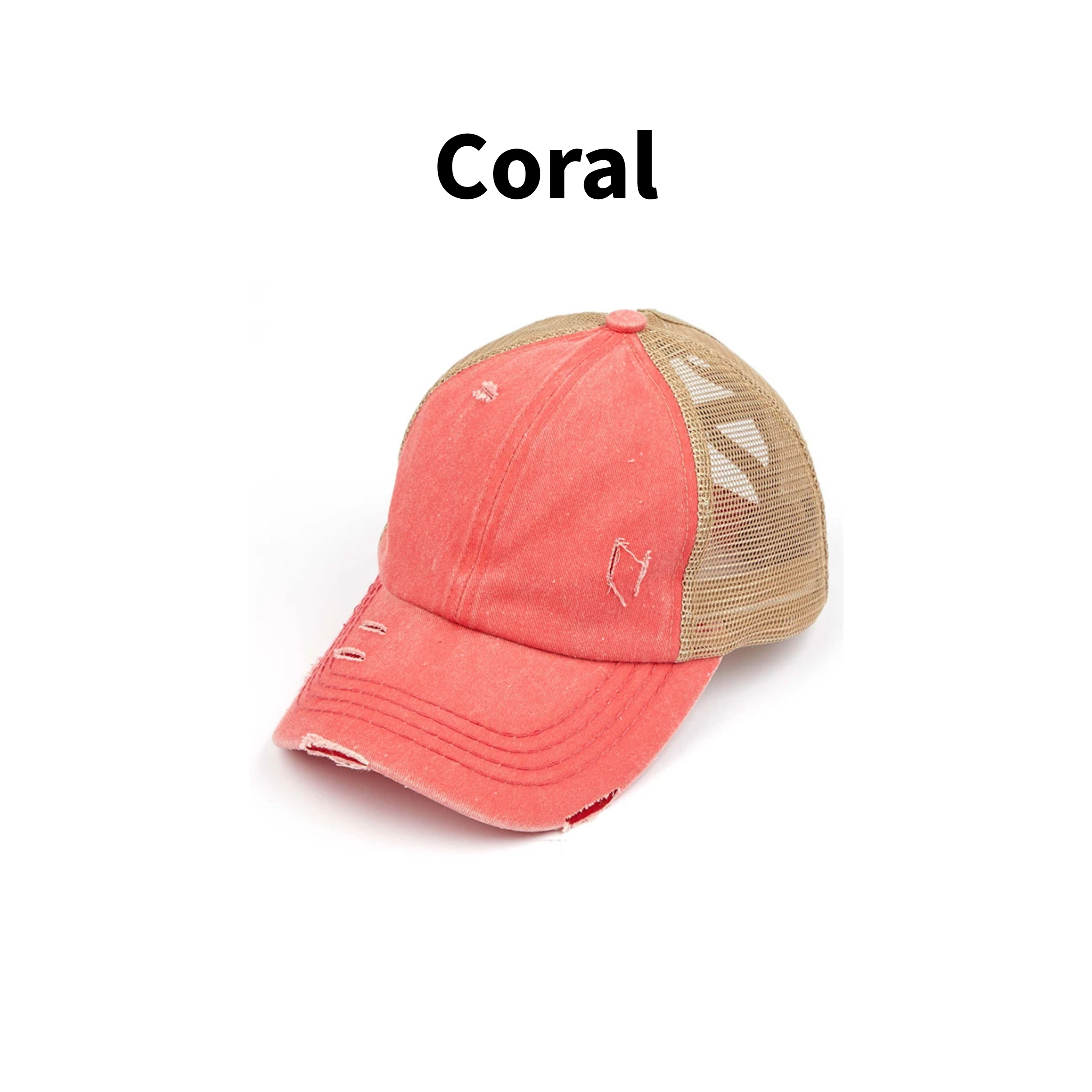 Coral 1.png