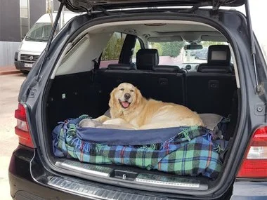 Our new friend Alfie in his Mercedes ML-320, about to head off back home to Malaga with his Import Test Pass Certificate. We serviced his car and fixed the air conditioning for him so that he'd be more comfortable on the return journey home - August 