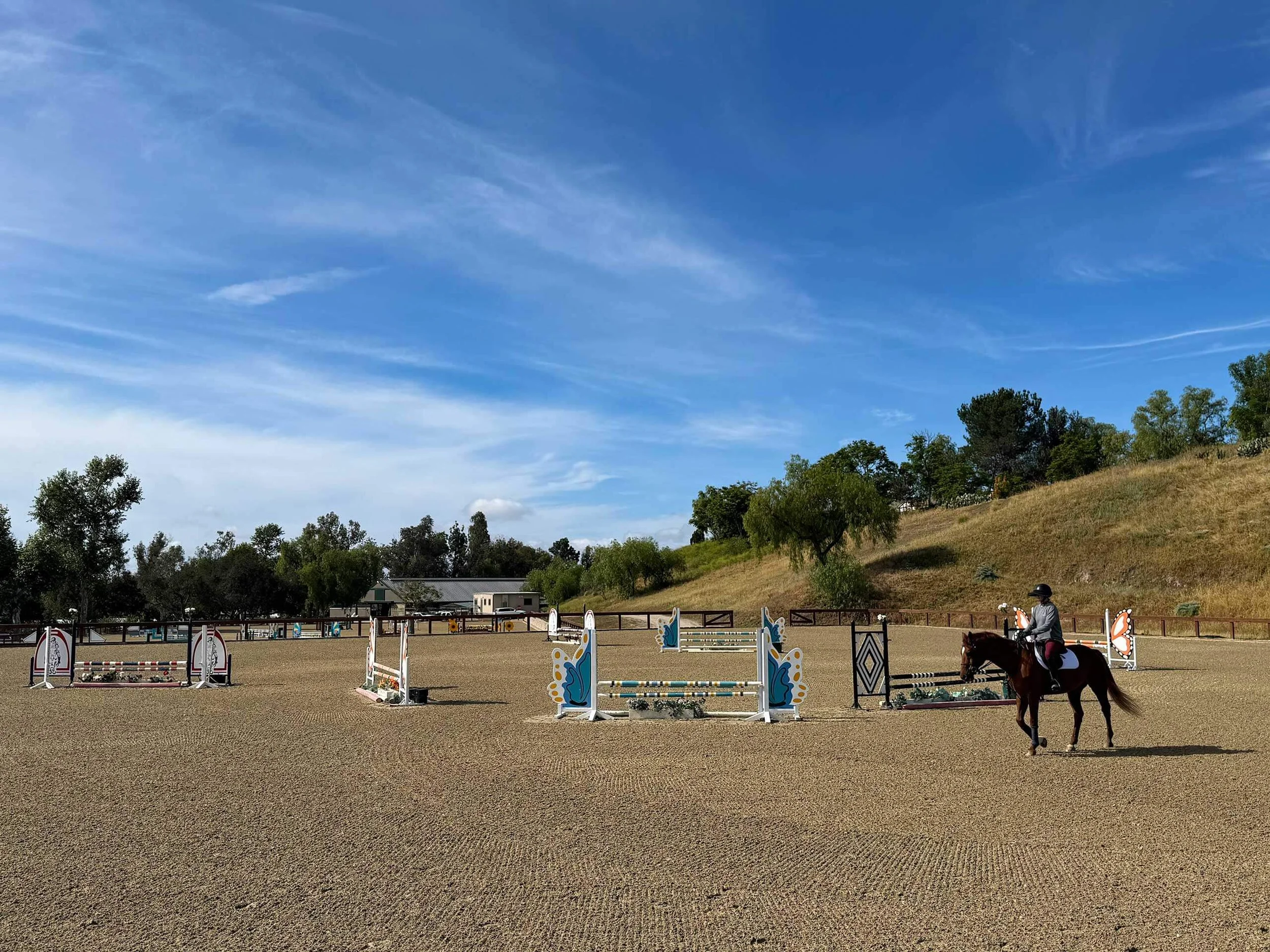 A person riding a horse through an outdoor equestrian jumping arena with show jumps decorated with blue butterfly designs, against a backdrop of trees, a hill, and a blue sky with clouds.