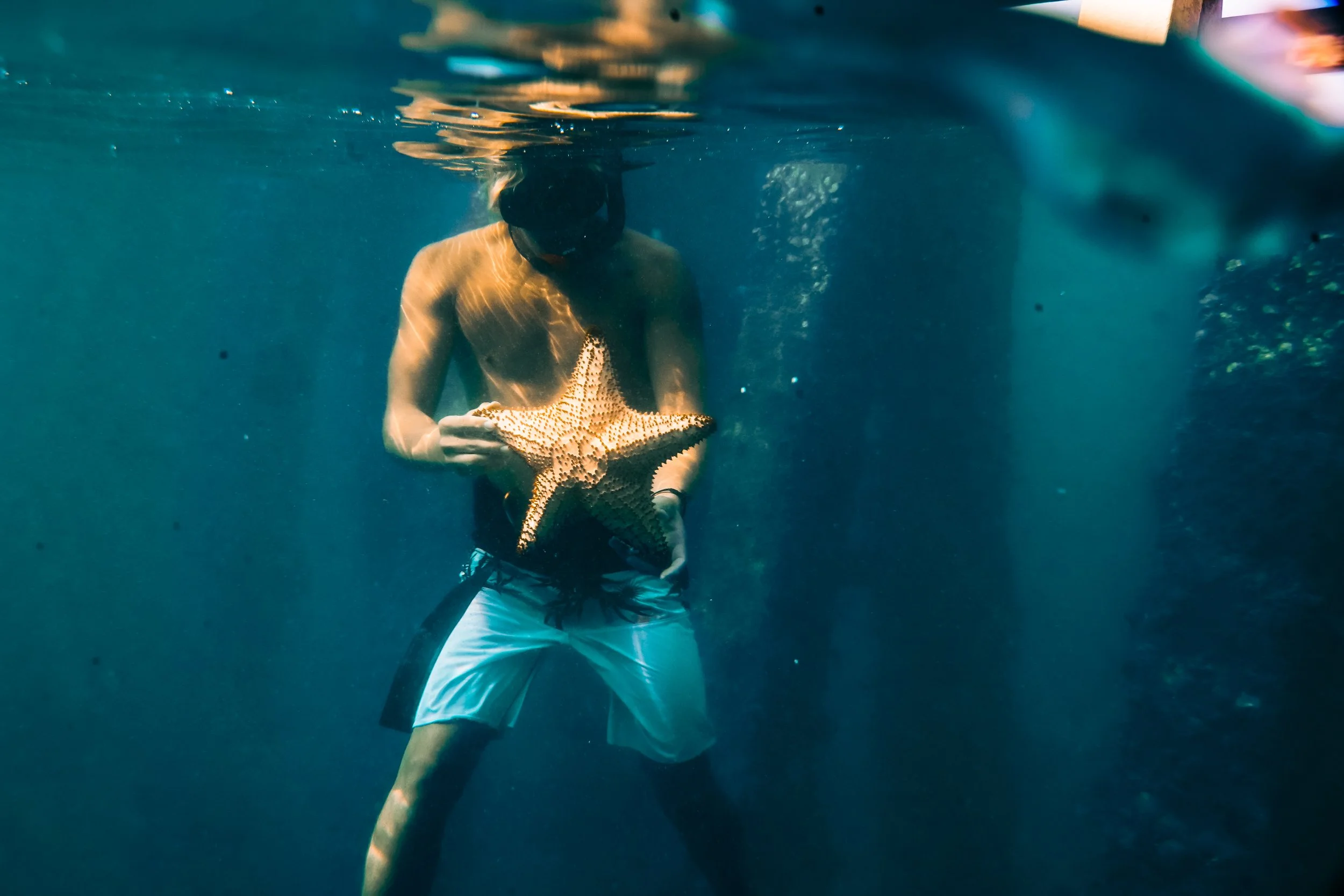 A shirtless person wearing white shorts and a black snorkel mask is underwater, holding a large starfish.