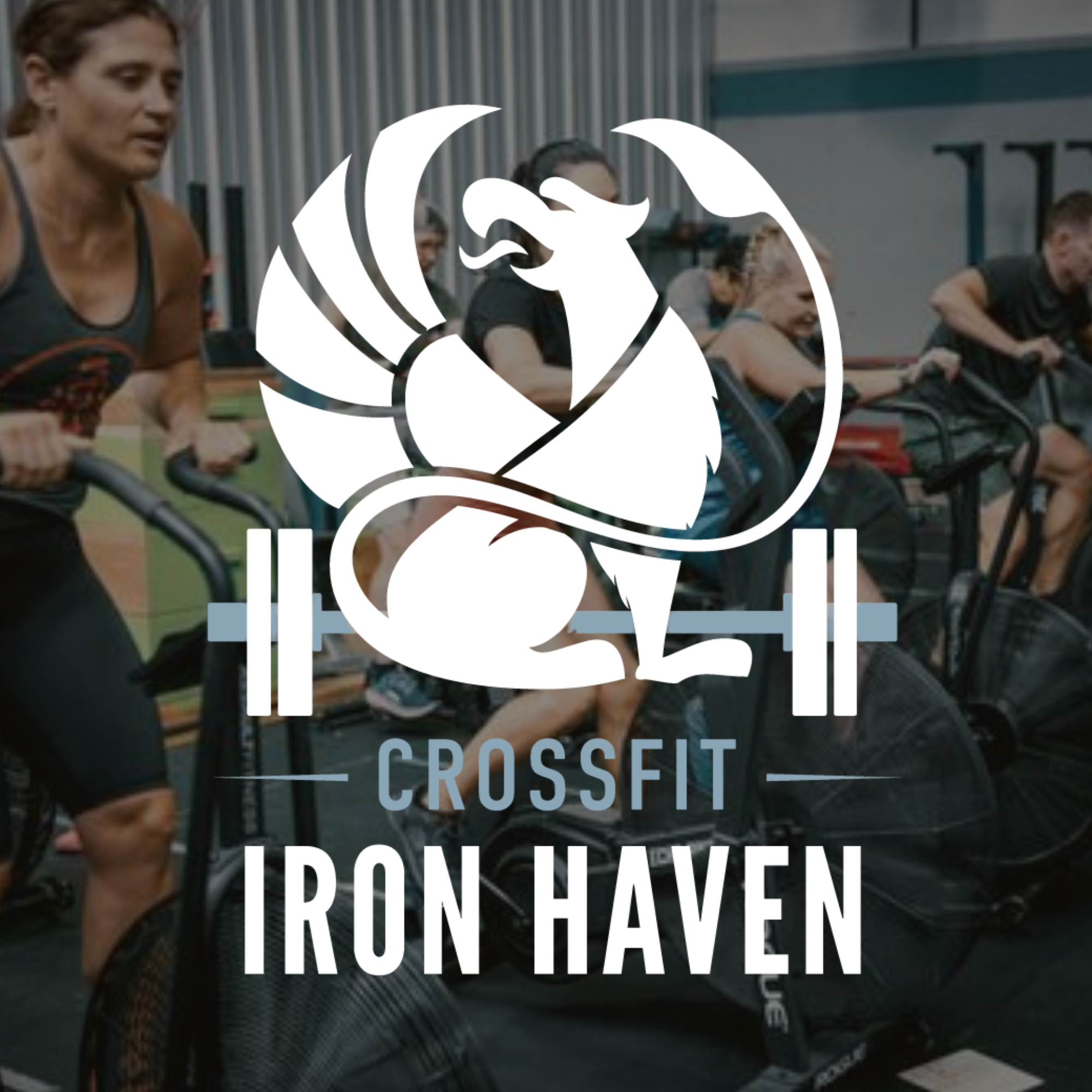 Push &amp; Connect at Iron Haven Strength &amp; Conditioning