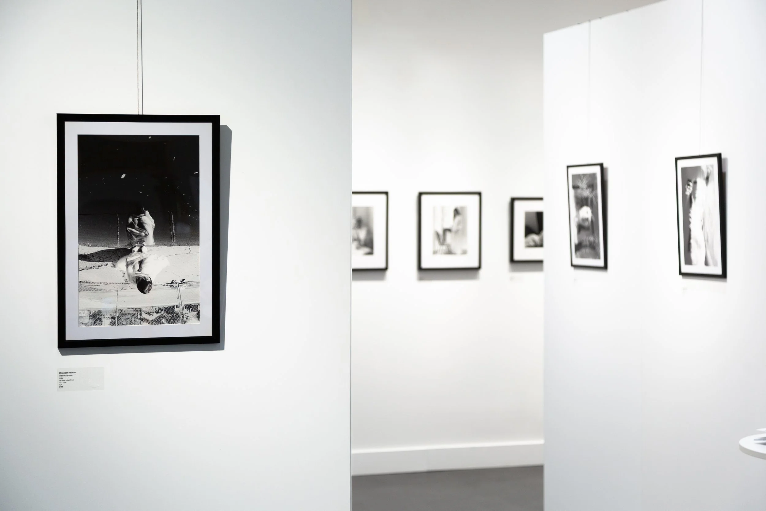 final gallery photos for site-11.jpg