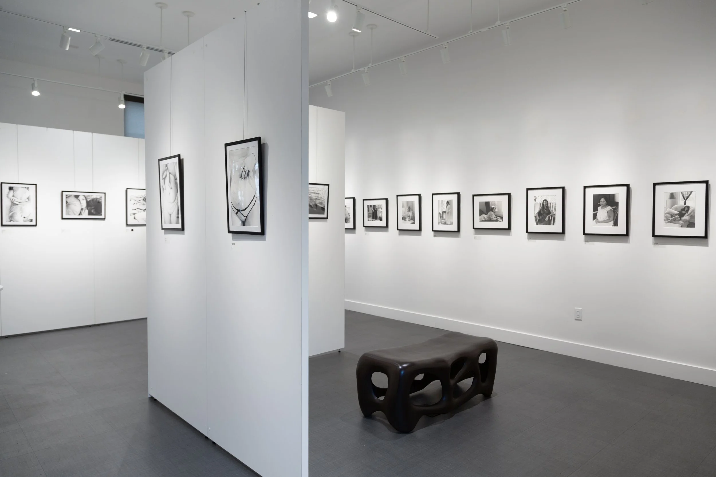 final gallery photos for site intro 13-3.jpg