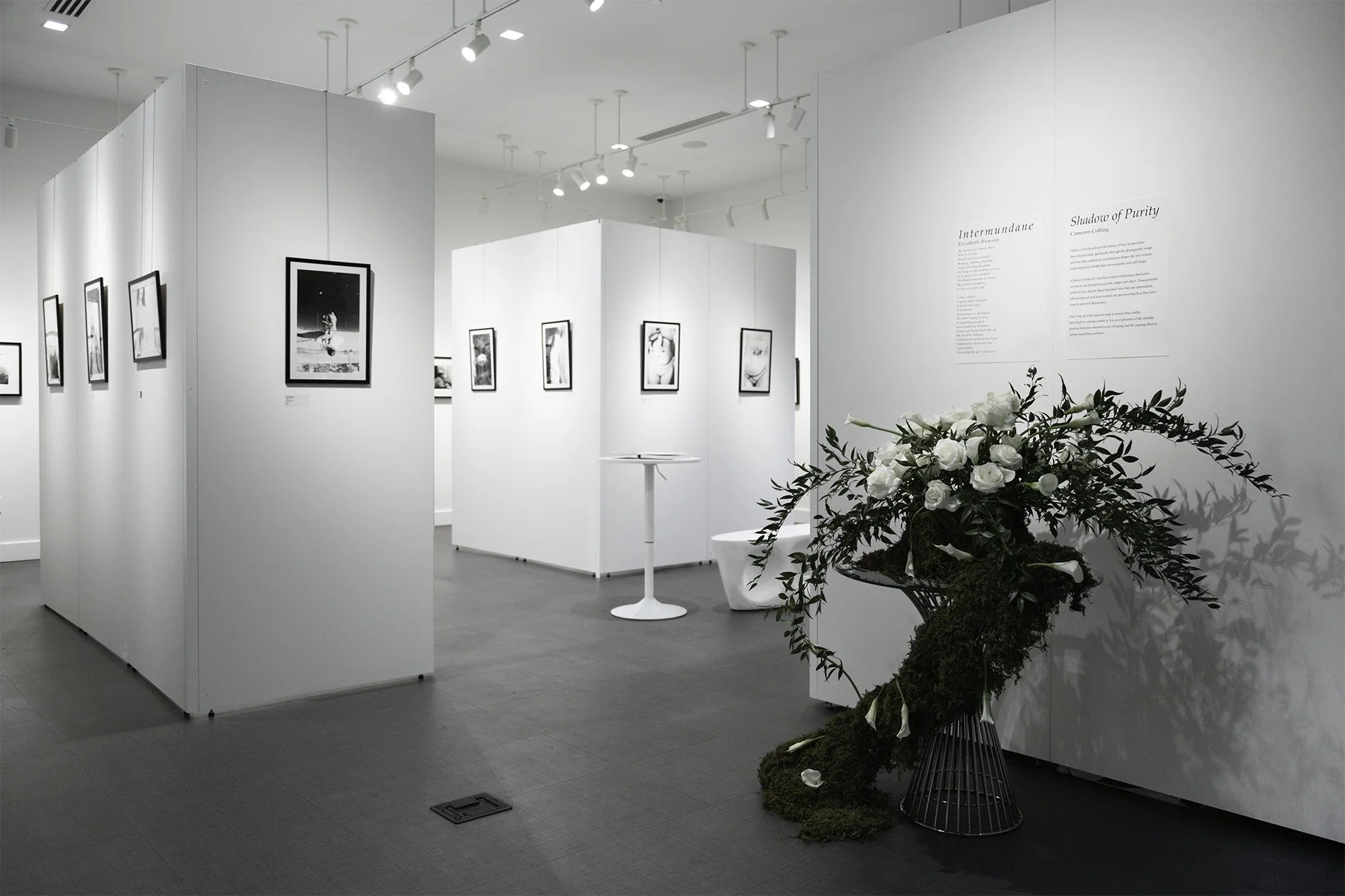 intro gallery.jpg