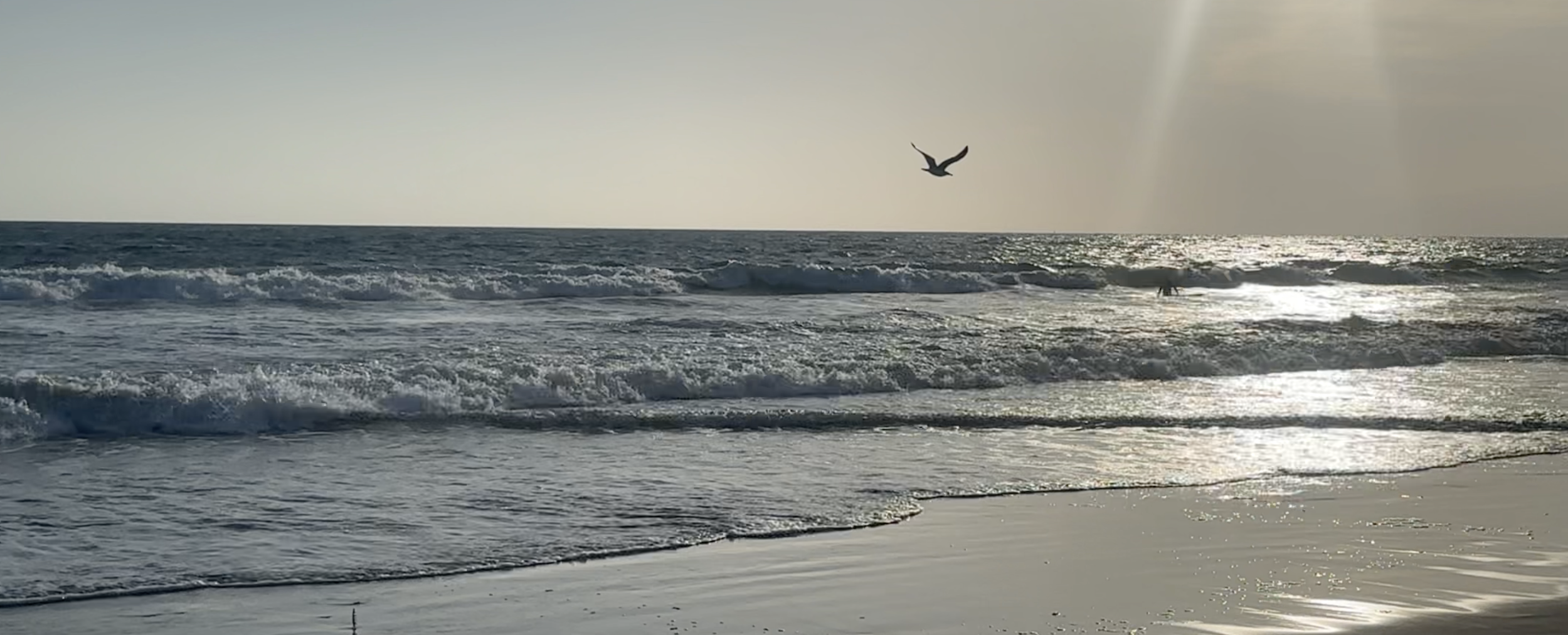 voice back up still.png