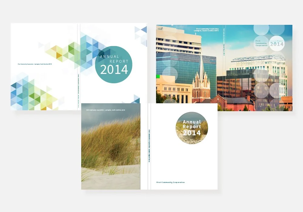 annual report initial visuals