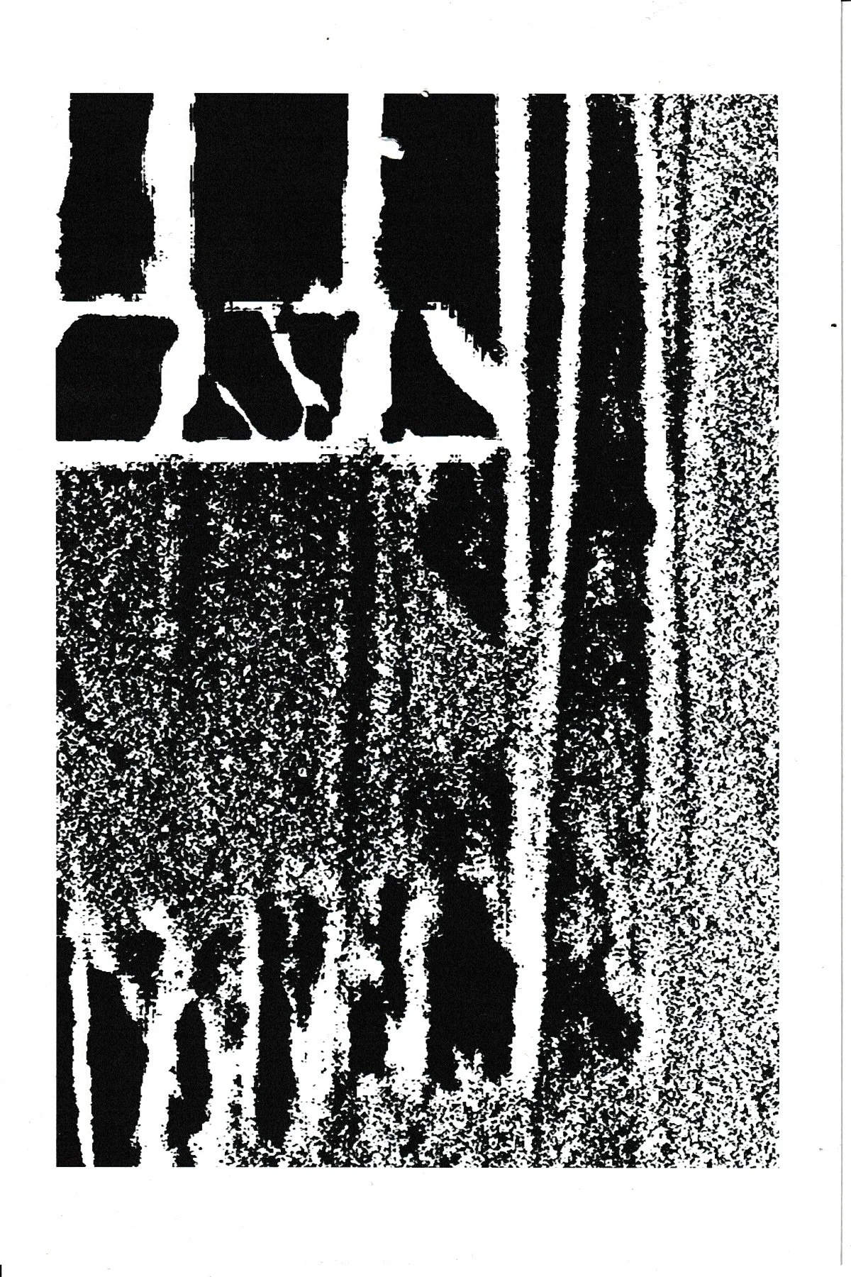 Magnifier-N°59
