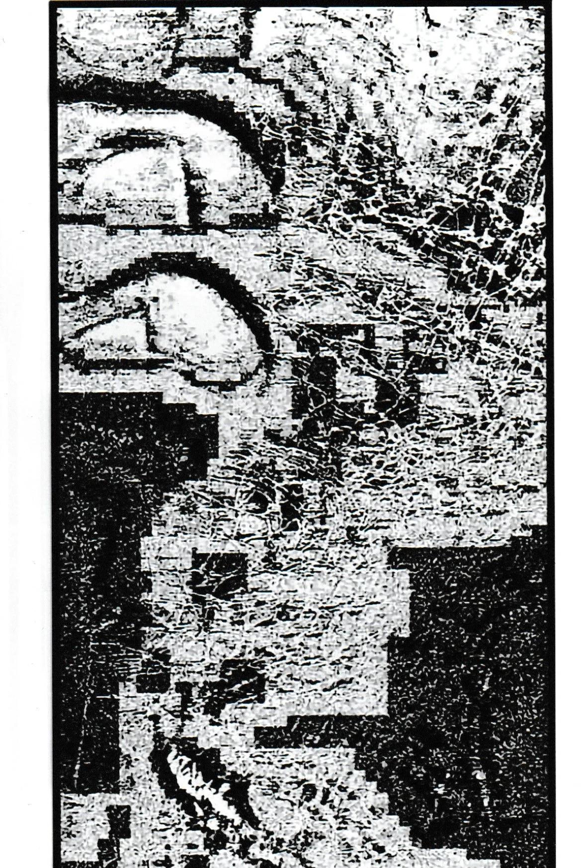 Magnifier-N°29