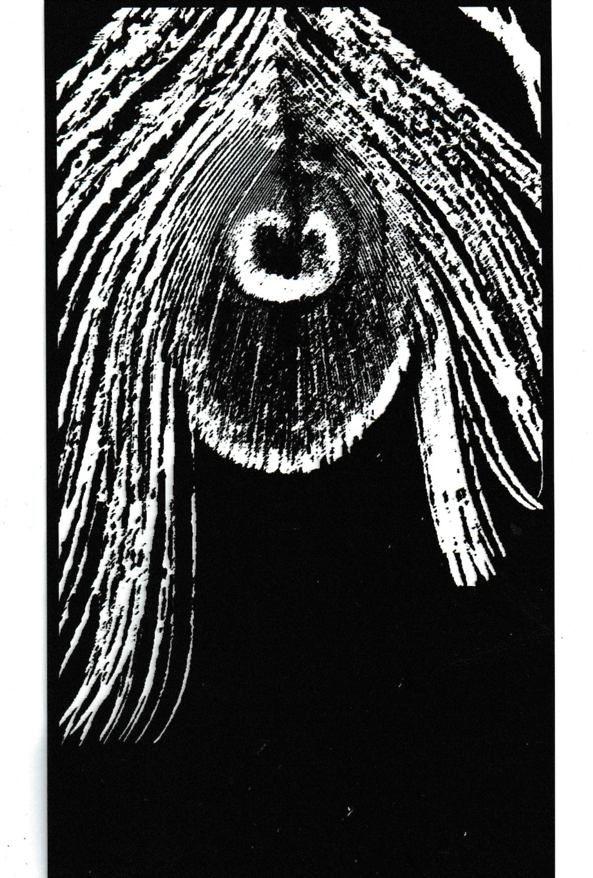 Magnifier-Feather