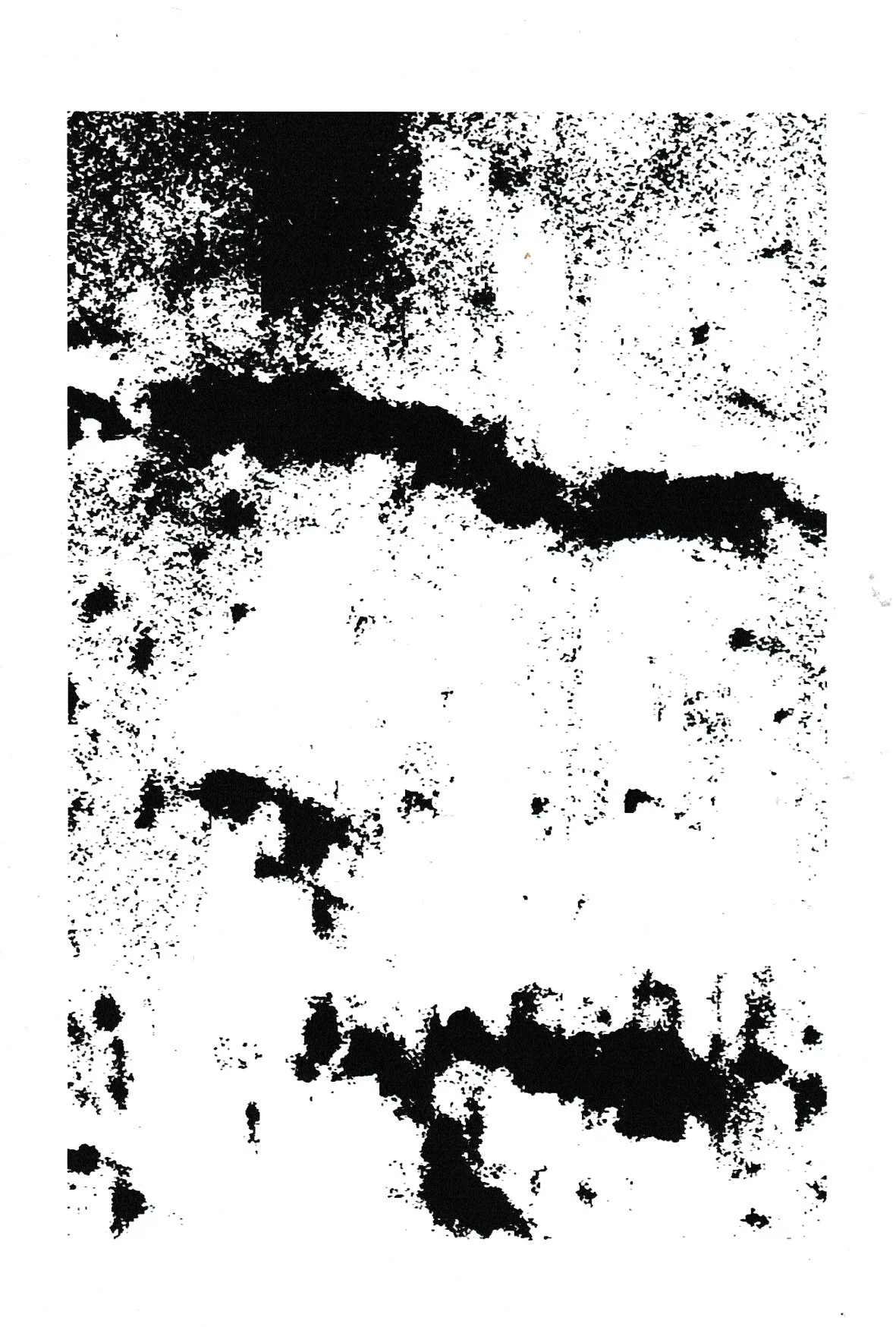Magnifier-N°46
