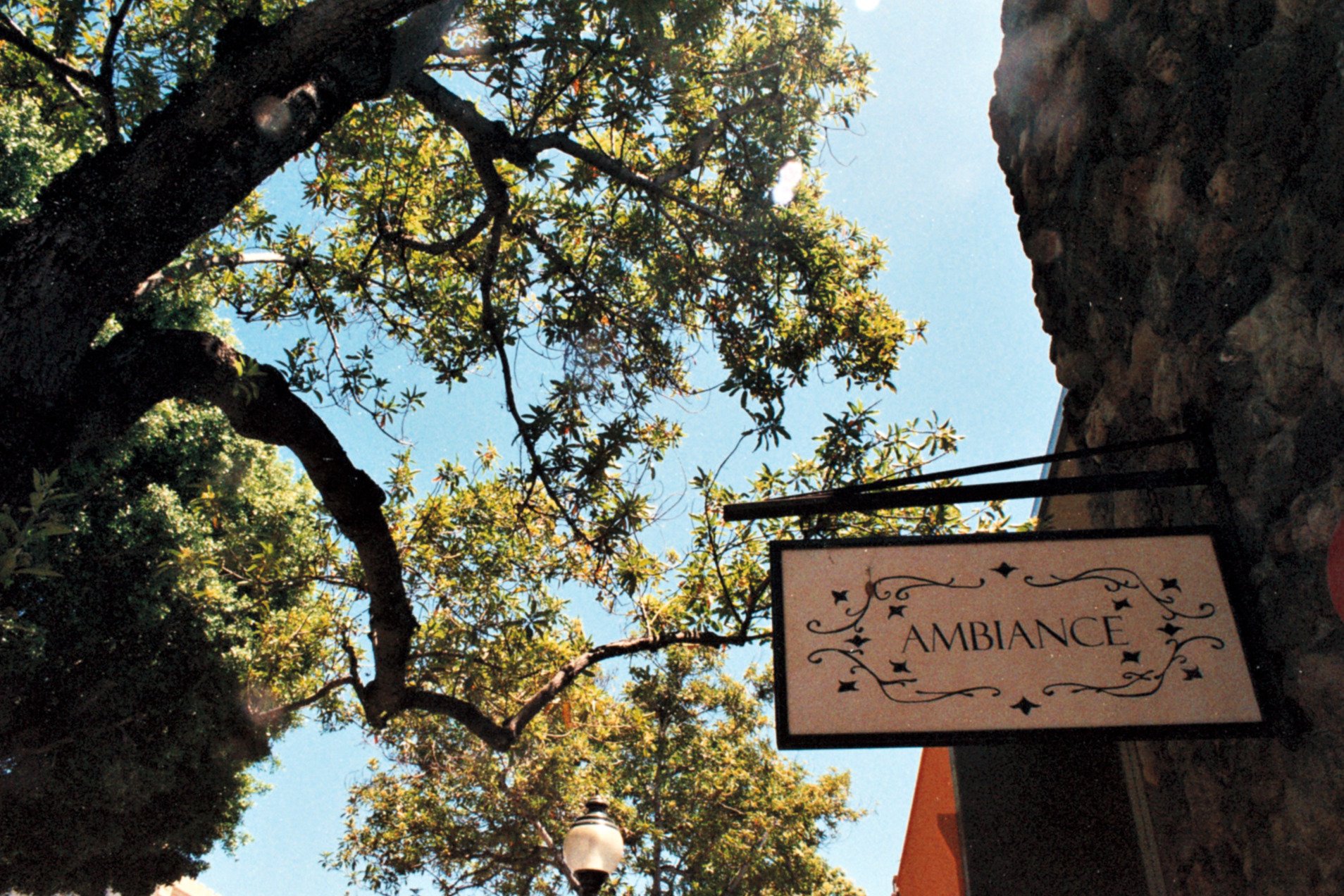 A sign hanging outdoors with the word 'Ambiance' on it, surrounded by trees and a clear sky.