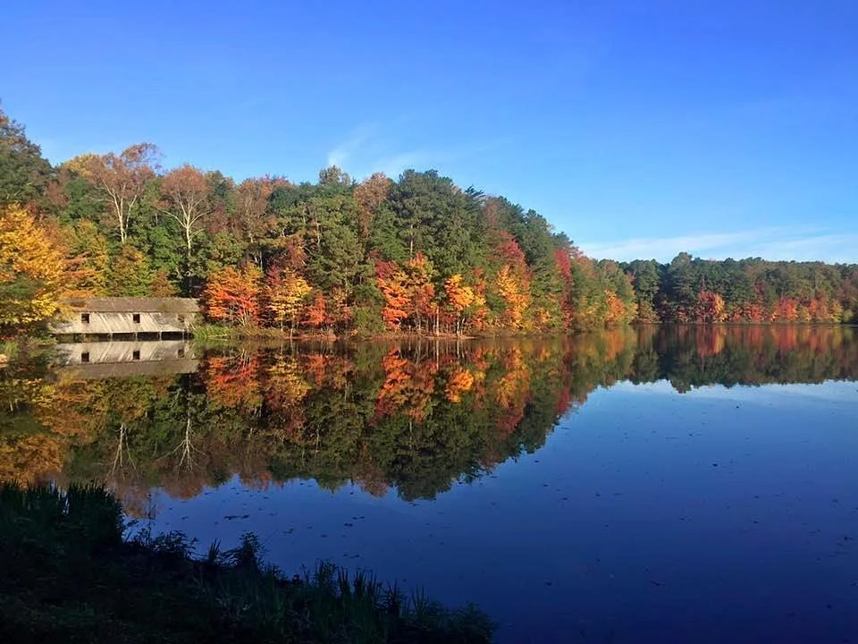 Autumn scene with colorful trees reflected in a calm lake, and a small wooden building on the left side of the shoreline.