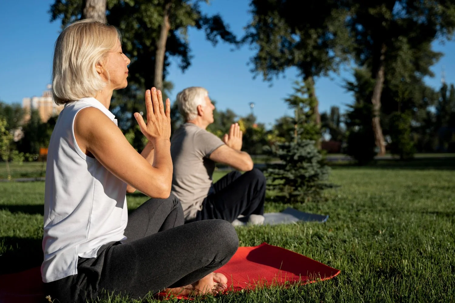 Two elderly people practicing yoga outdoors in a park, sitting cross-legged on red yoga mats, with their hands in a prayer position and eyes closed, surrounded by green trees and grass on a sunny day.