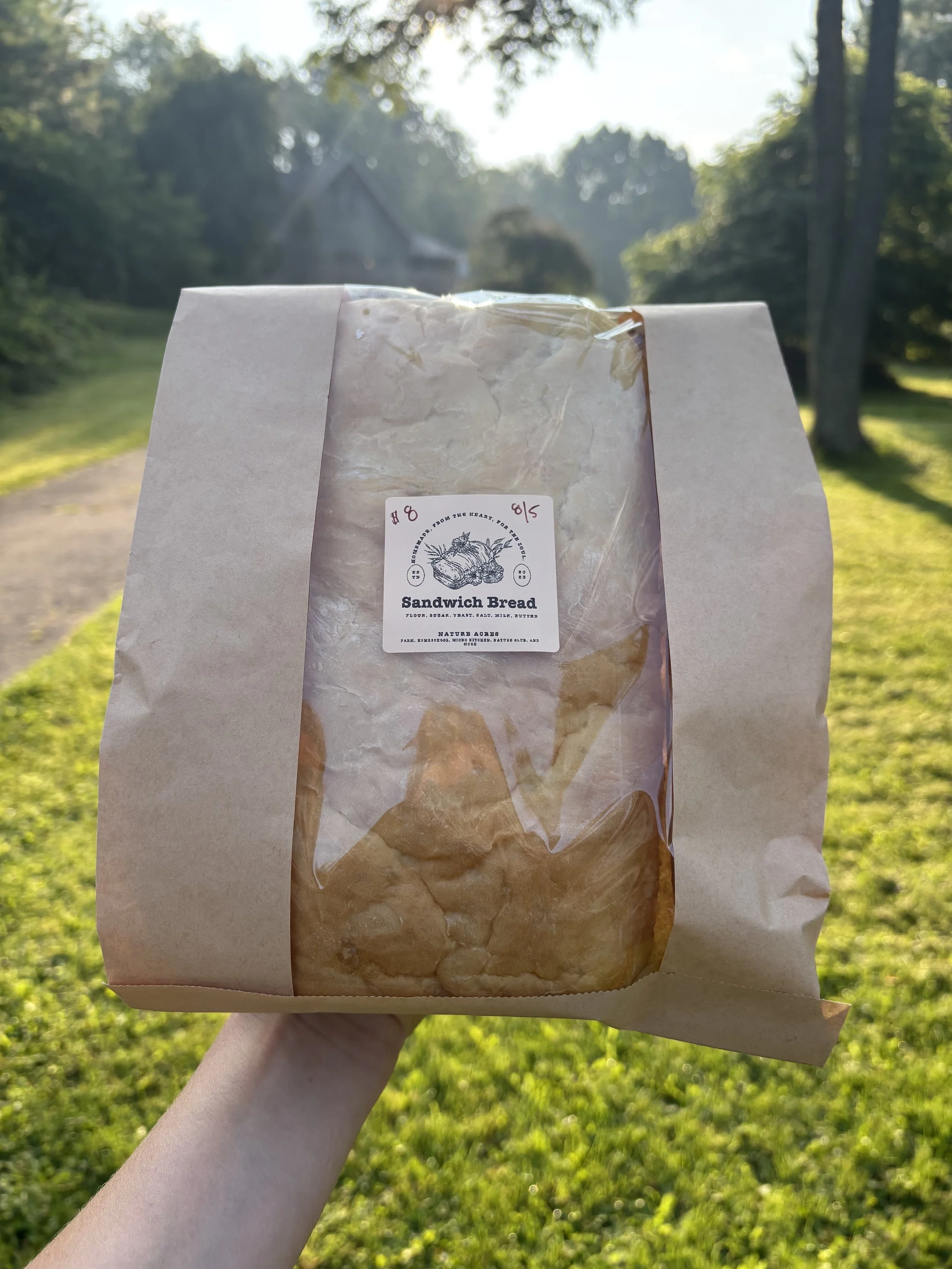 Sandwich Bread
