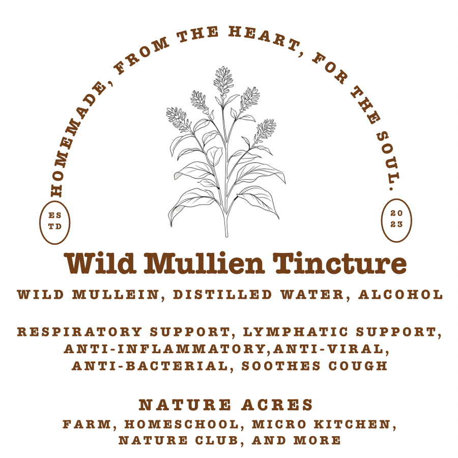 Wild Mullein Tincture