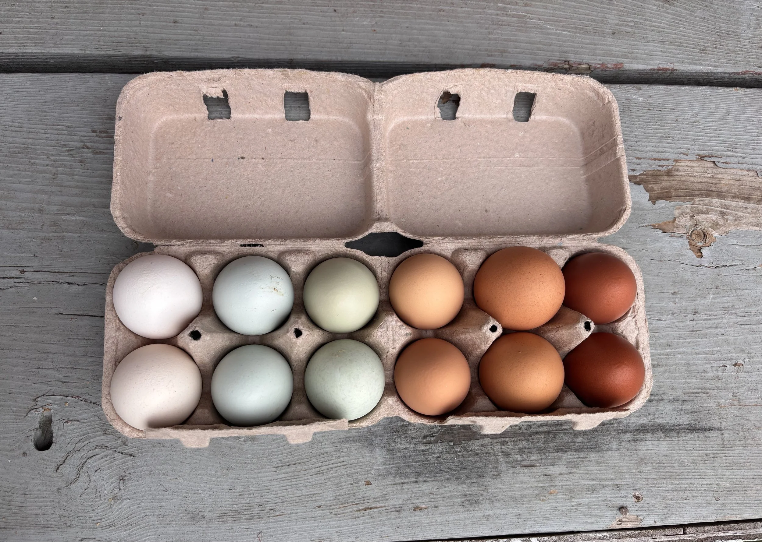 Farm Fresh Eggs
