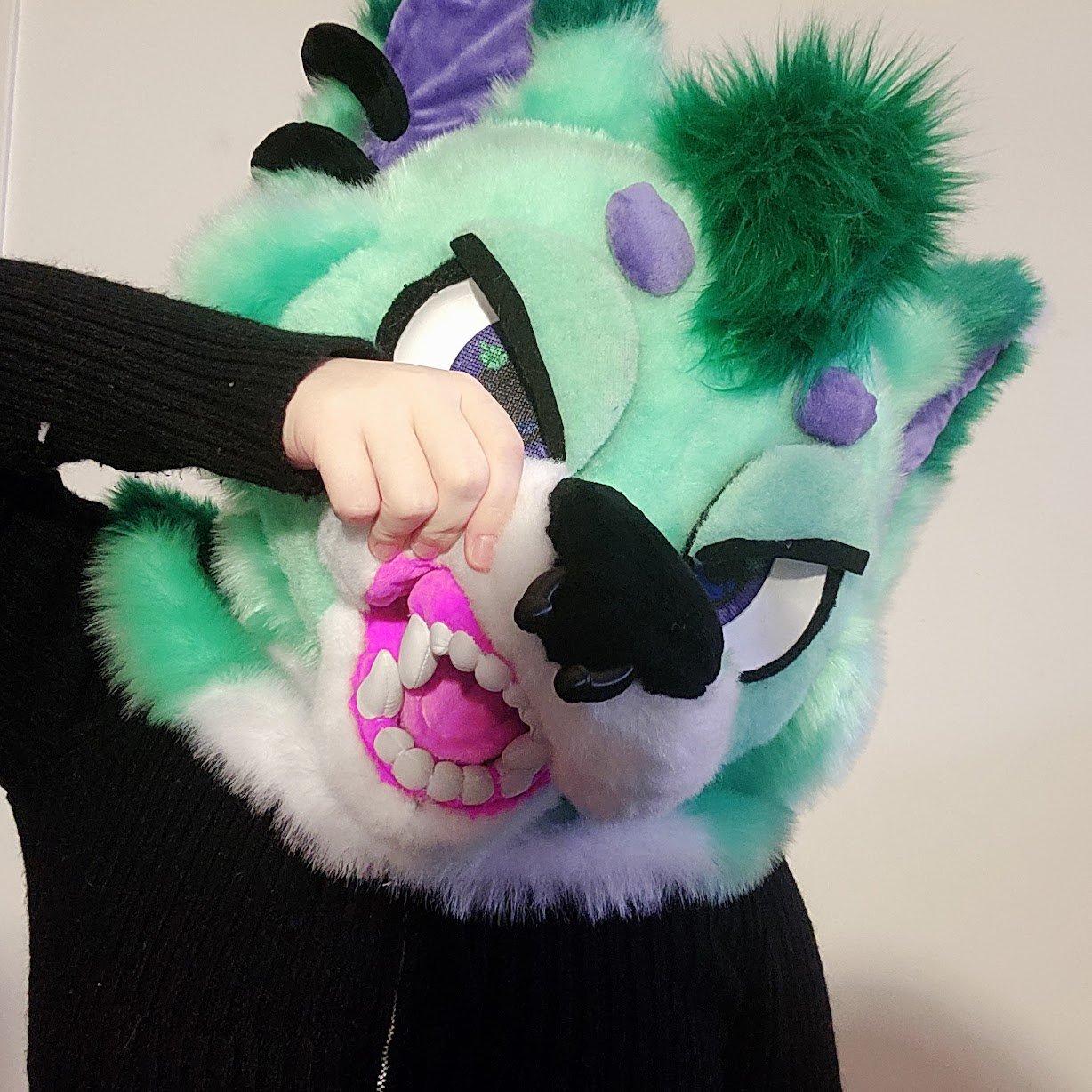 nani snarl.jpg