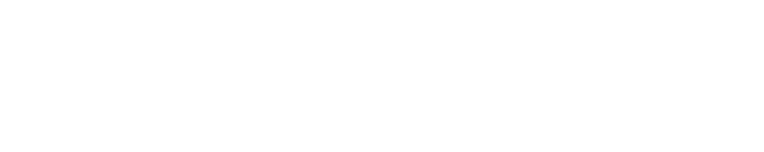 Paw Punk Studio