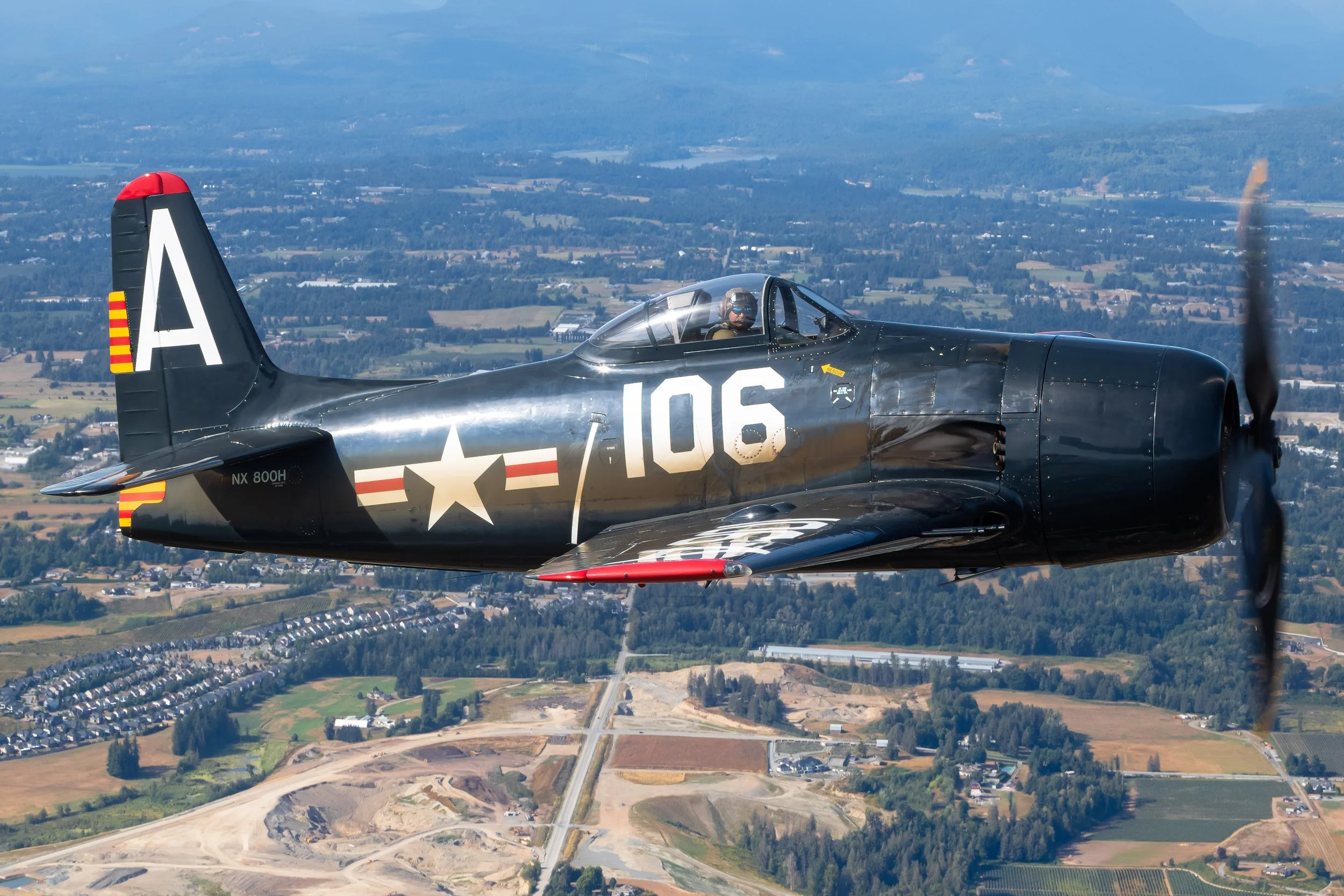 F8F-5.JPG