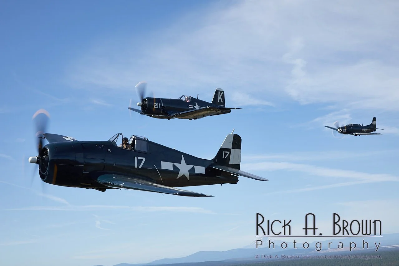 Hellcat%EF%80%A2Corsair%EF%80%A2Skyraider(151).png