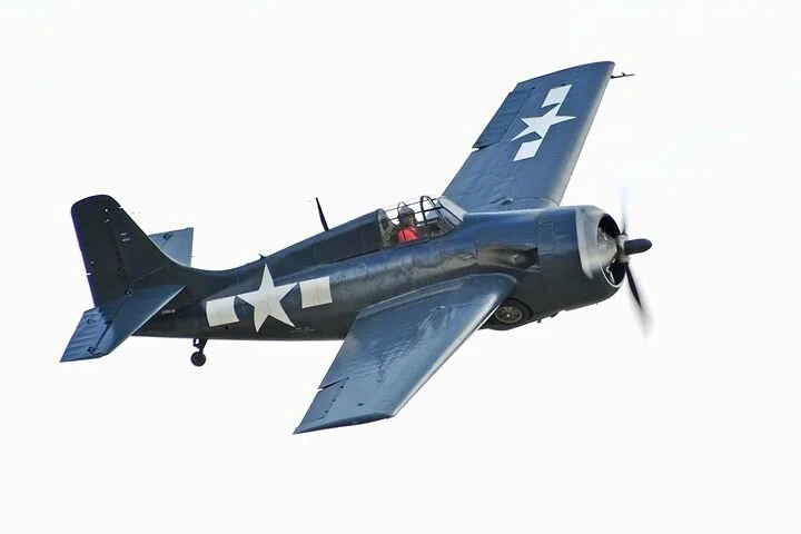 WILDCAT+AT+WAAAM.png