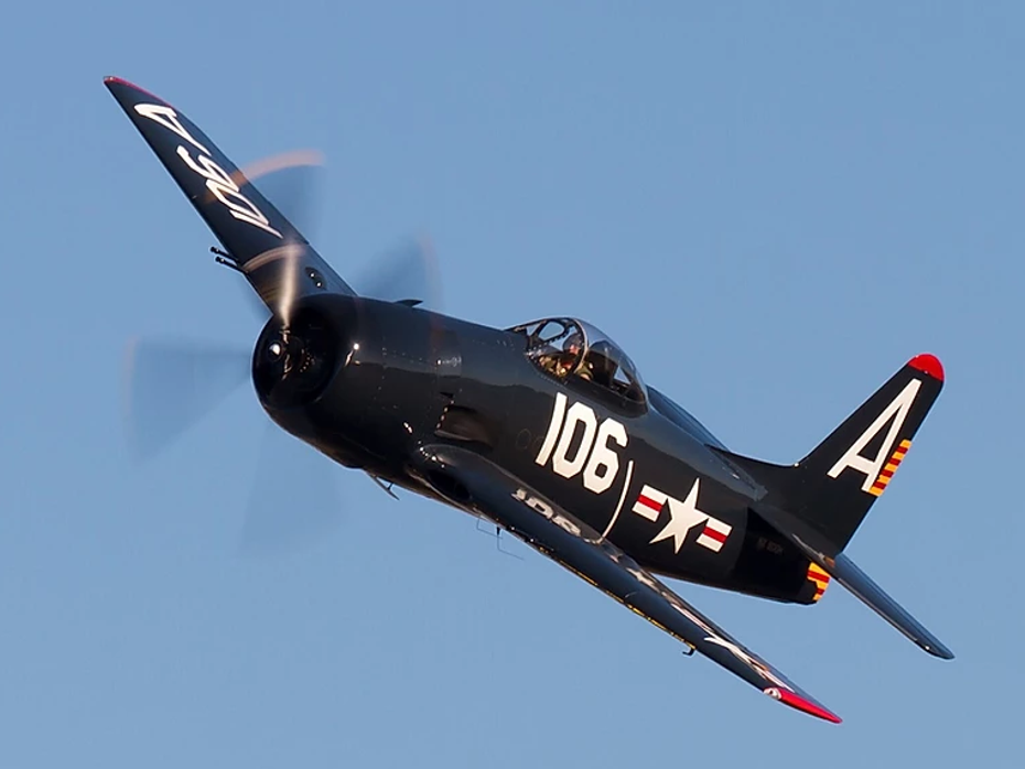 bearcat1.webp