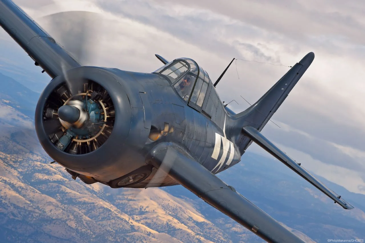WILDCAT+0290+9.png