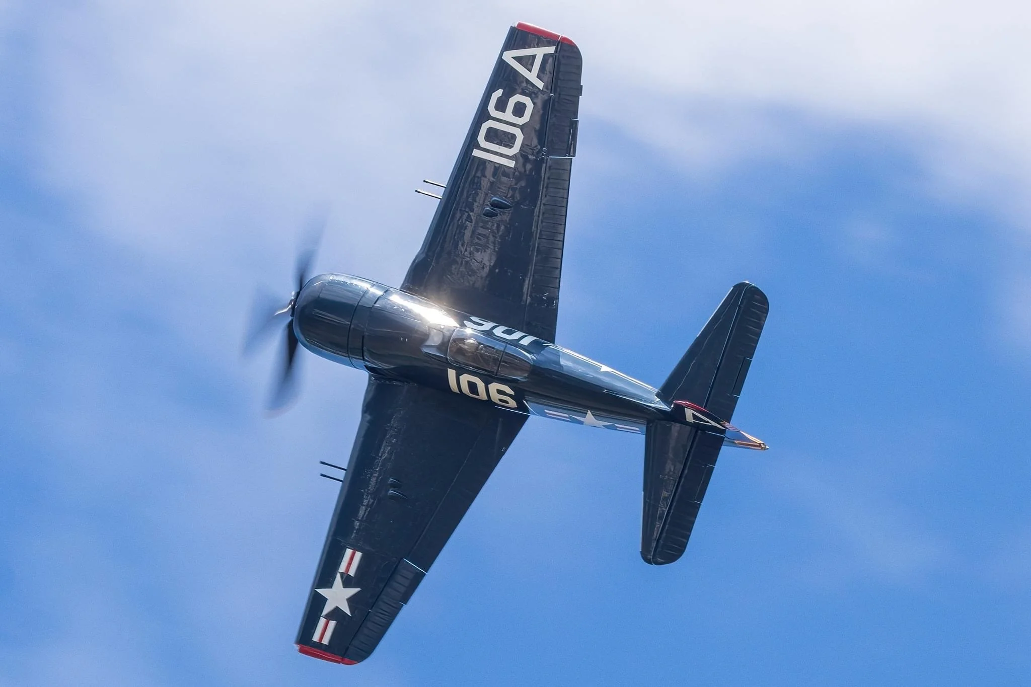 F8F-2.jpg