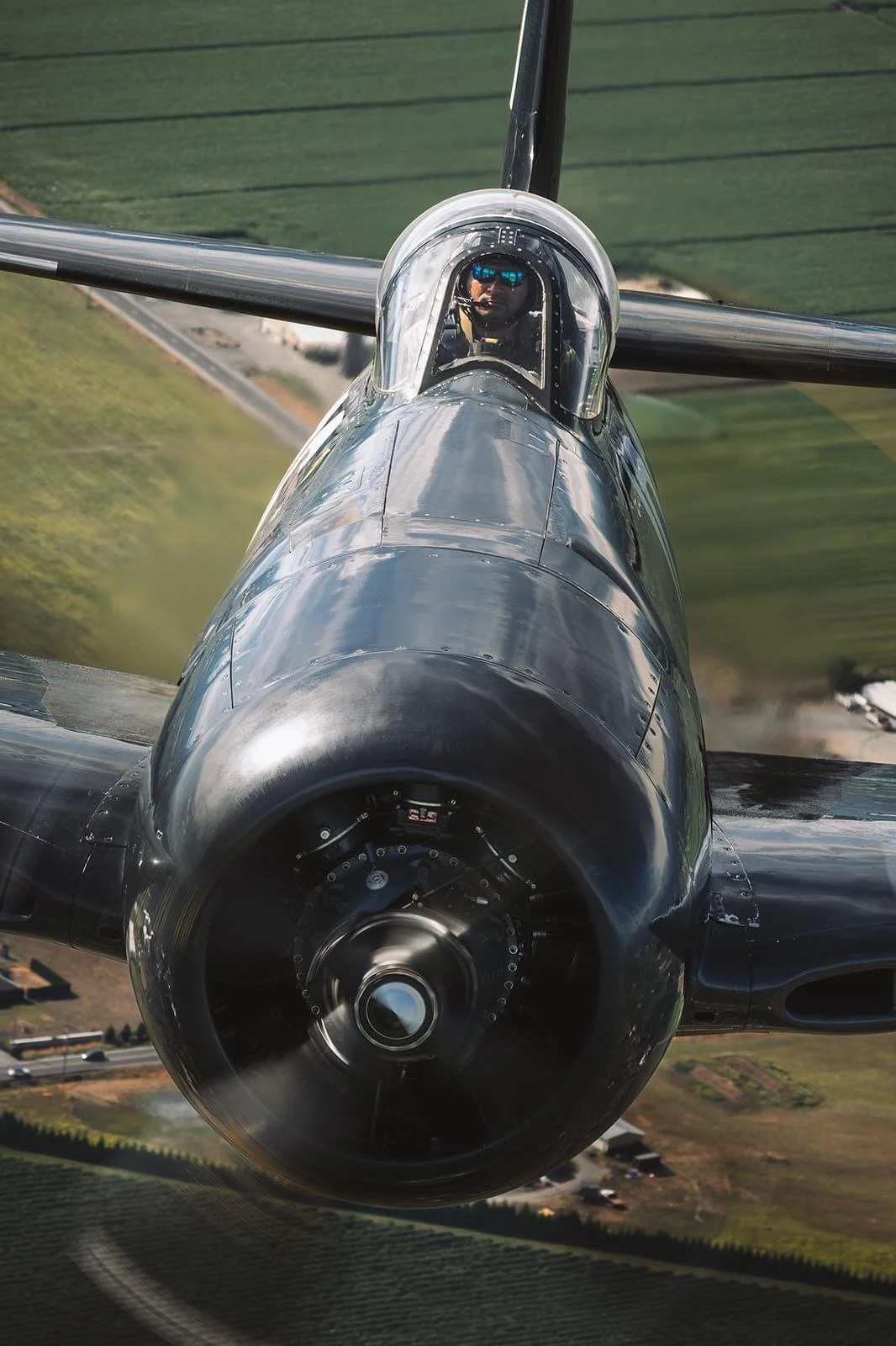 F8F-4.jpg