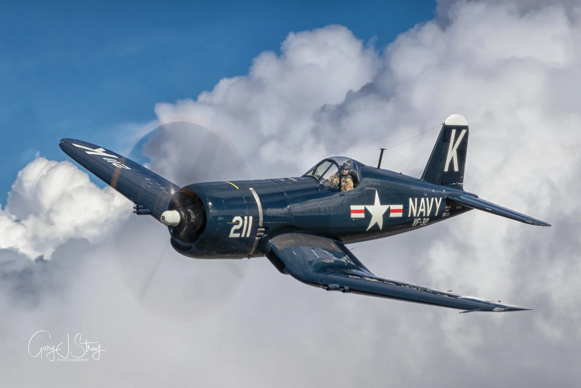 F4U+Gary+Stray.png