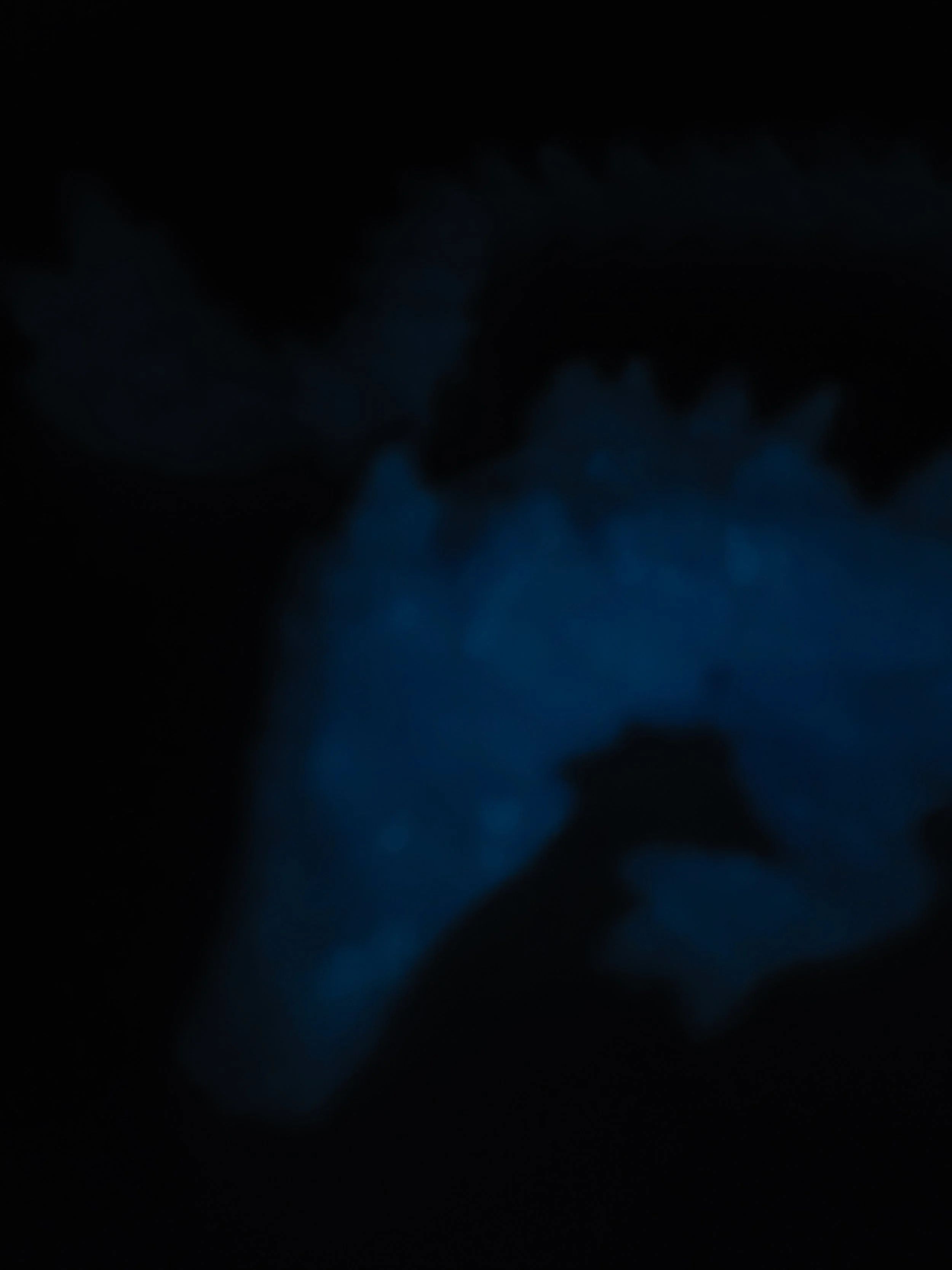 20260424_152422.jpg