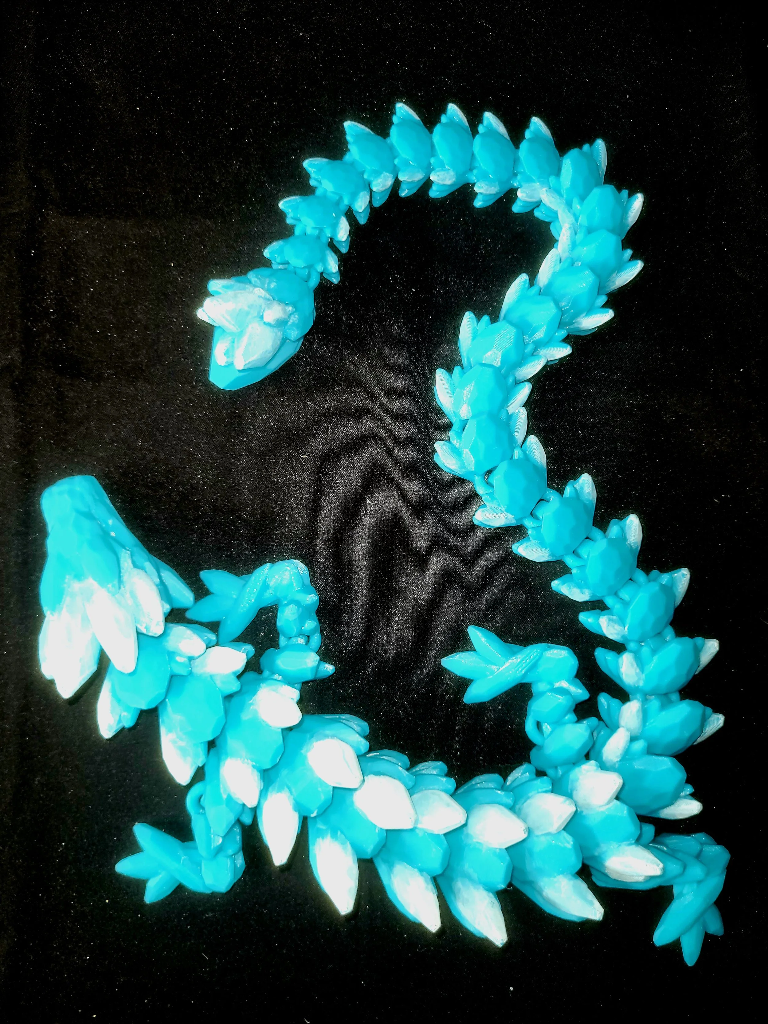 20260424_152249.jpg