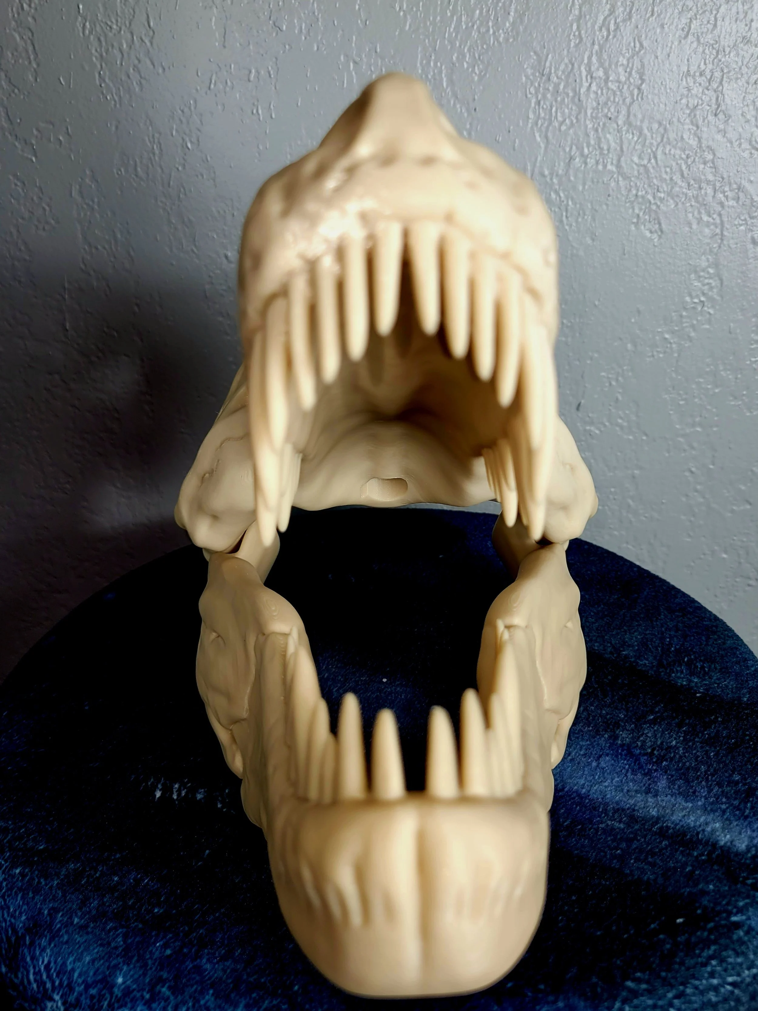 20250531_121553.jpg