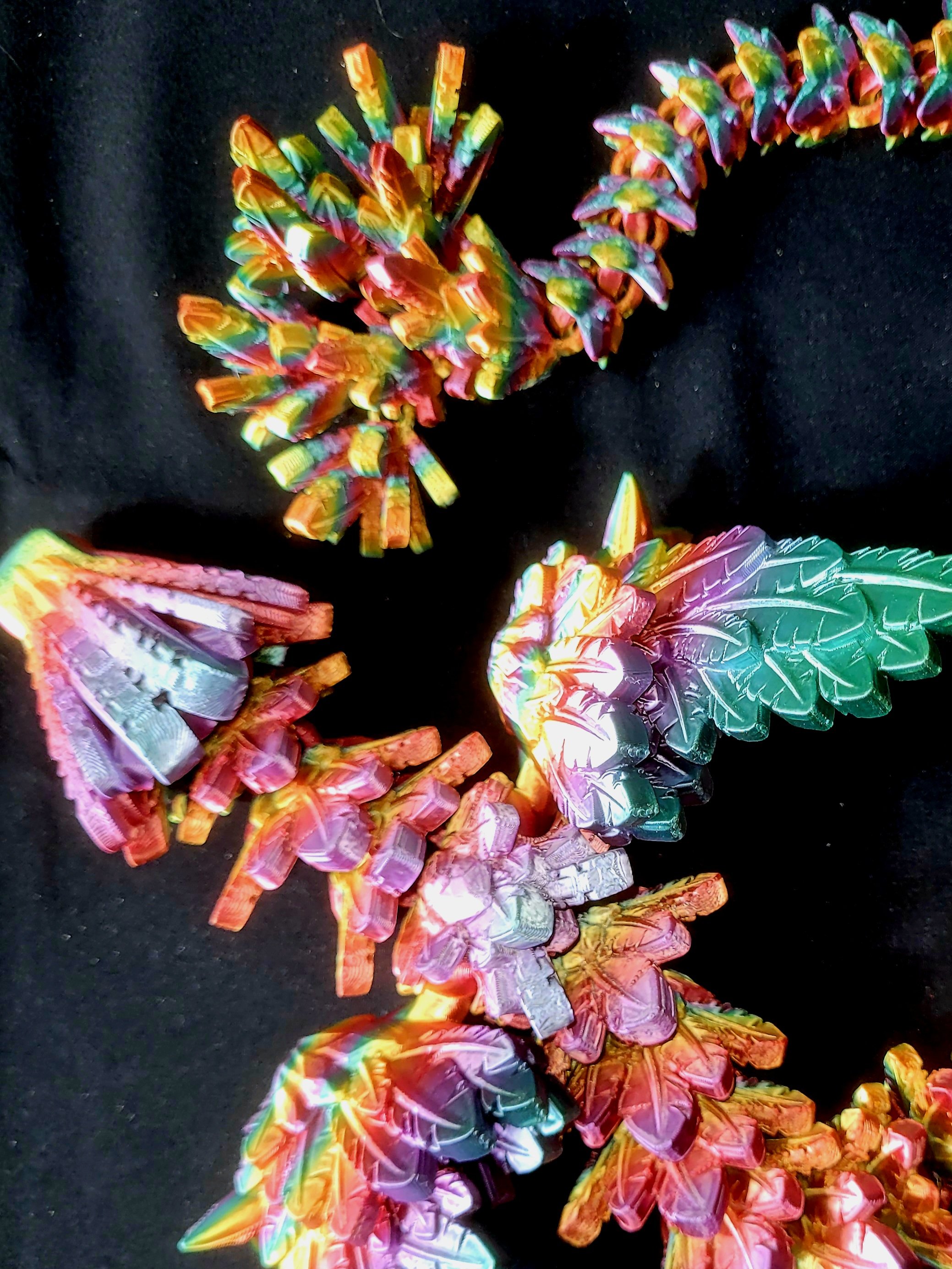 20260424_152050.jpg