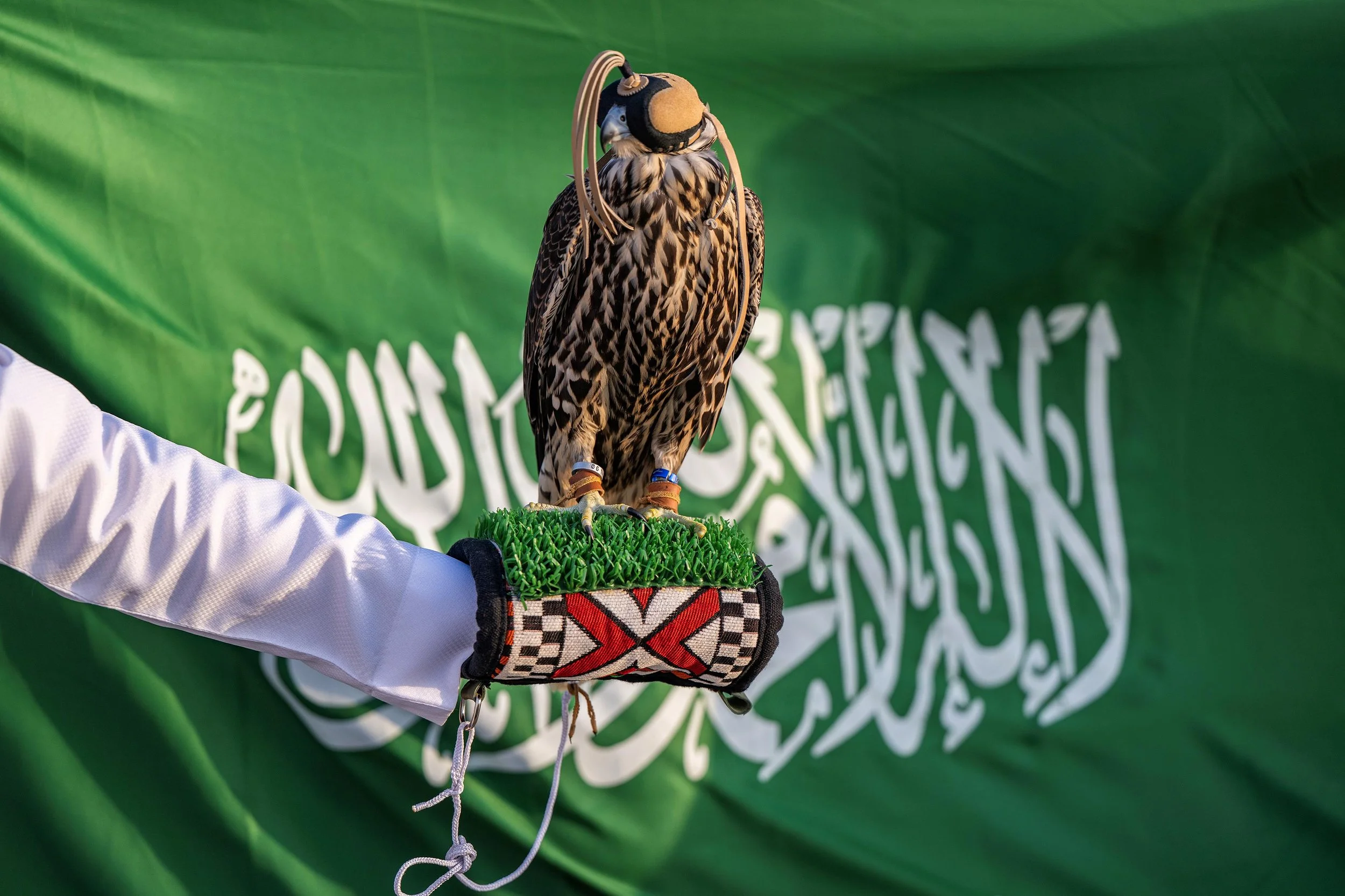 Discovering Saudi Culture: The World of Falcons