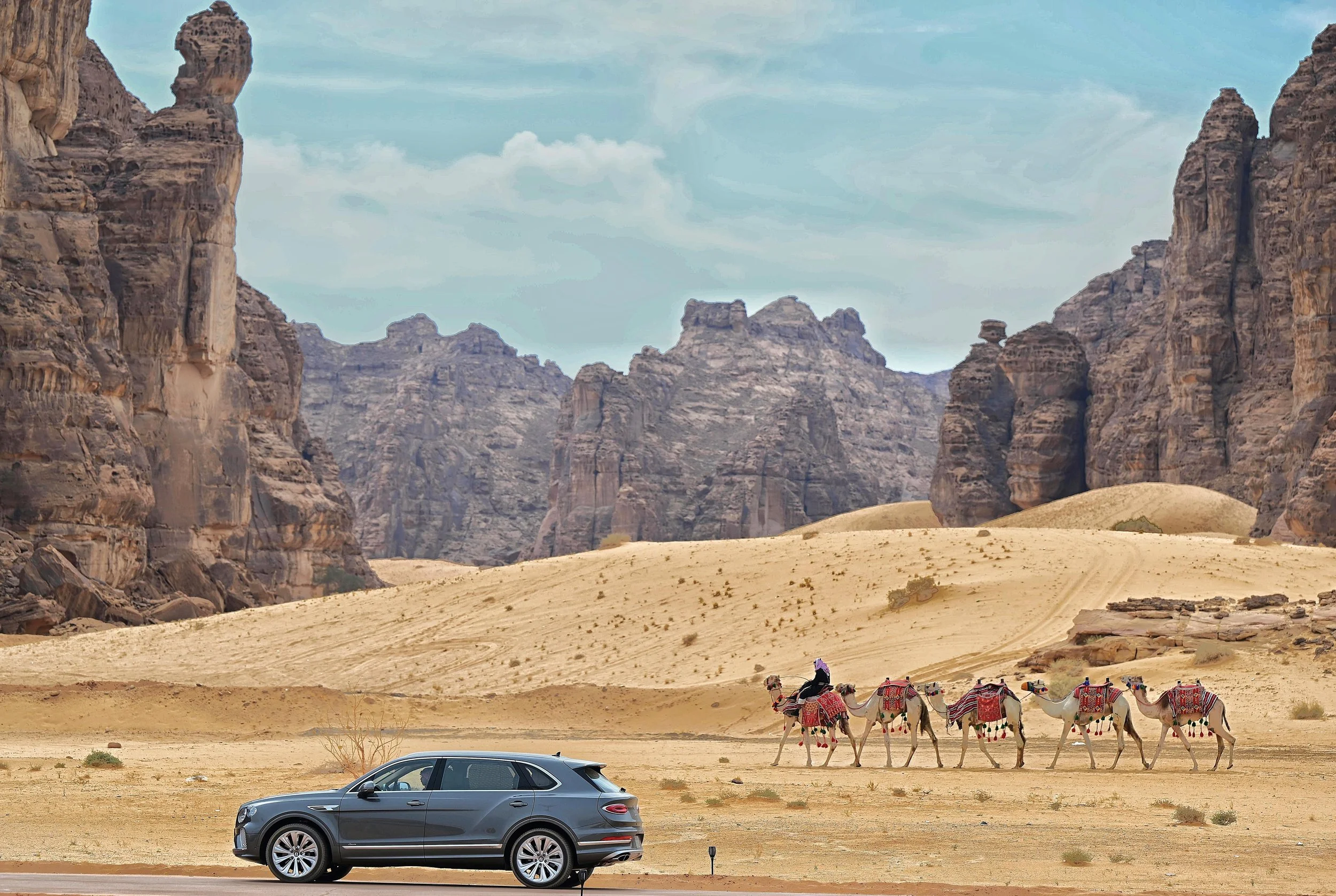 The Camel: More Than Just a Desert Ride