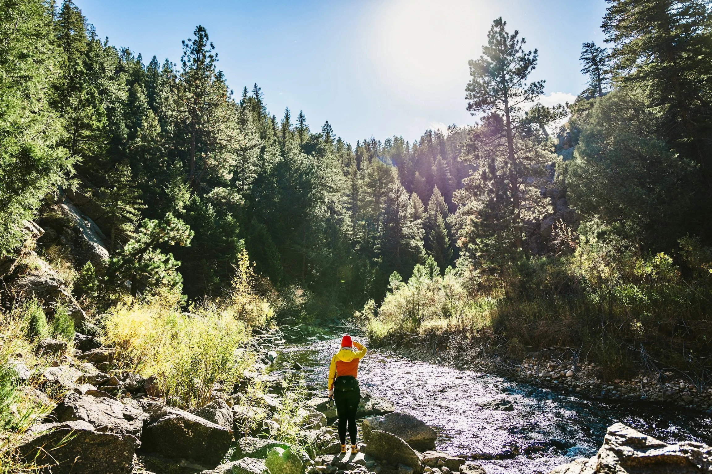 Caley Van Cleave, abstract landscape artist, gazing down river in El Dorado Canyon in Boulder, CO in early spring. Photo credit to Kevin Ingham.