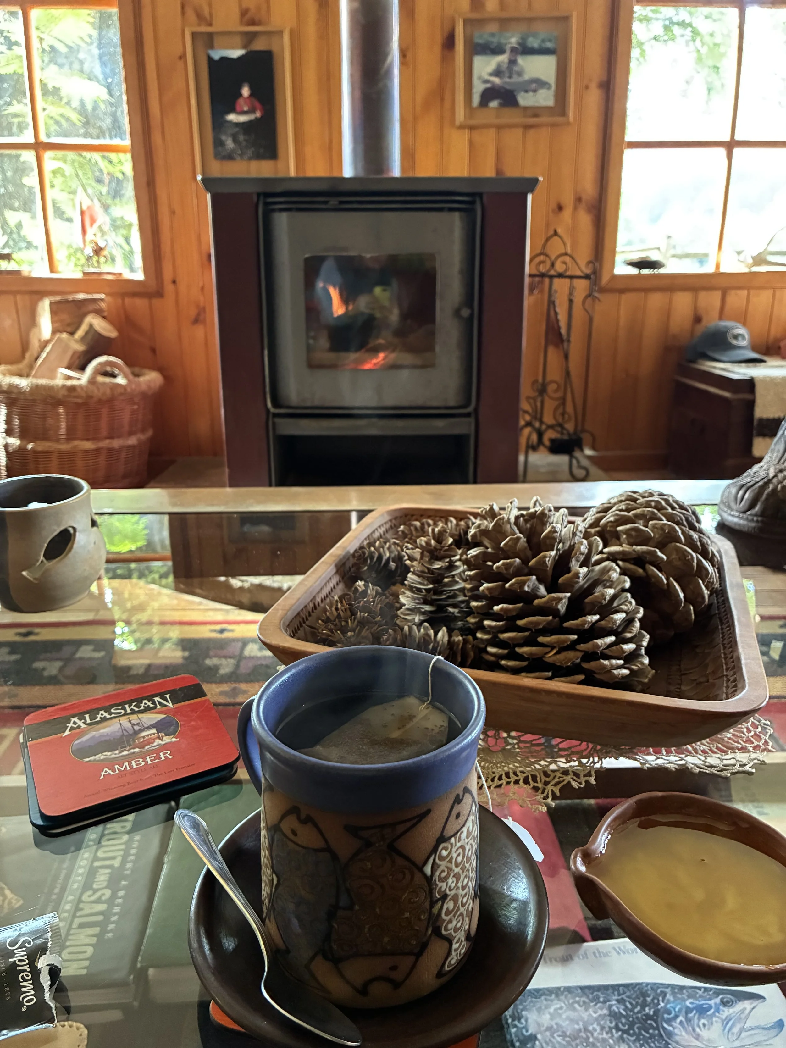 Cozy Lodge Stove La Posada de Los Farios.jpeg