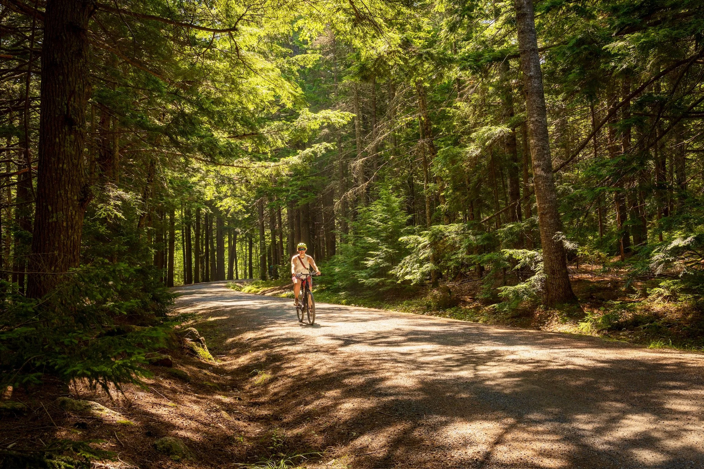 Caley Van Cleave, avid contemporary landscape painter, enjoying a bike ride through Arcadia National Park in Maine. Photo credit to Kevin Ingham. 
