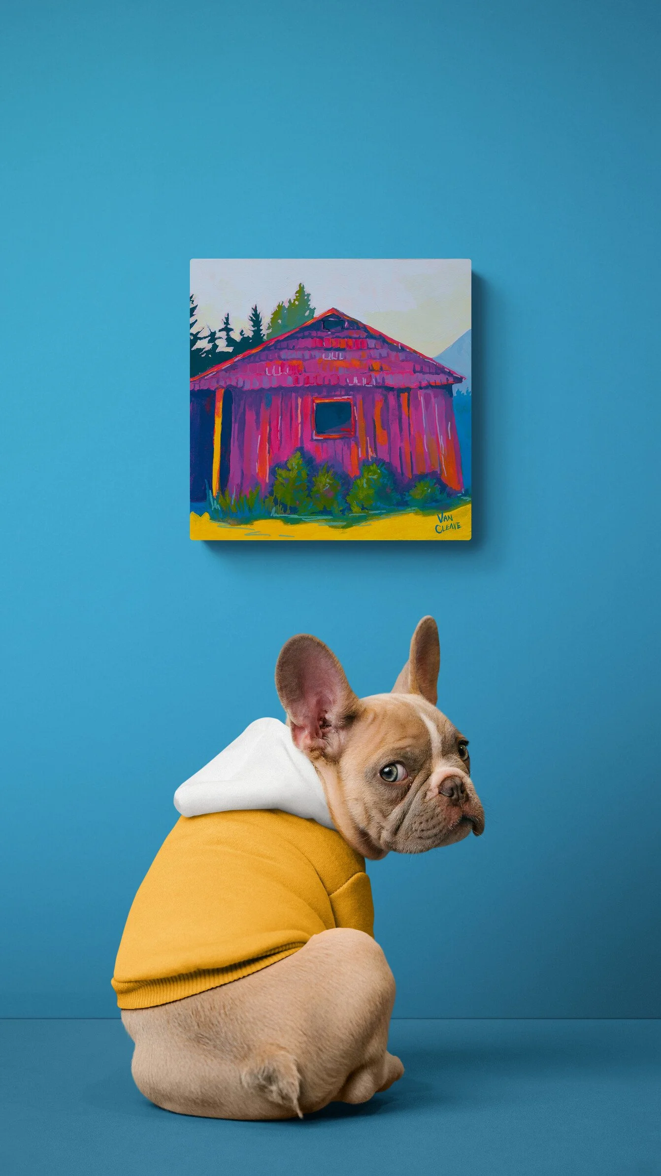 cute-dog-wearing-a-hoodie.jpg