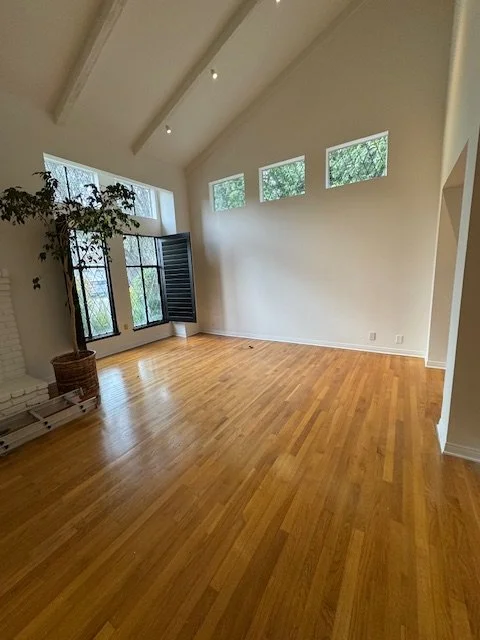 Before Living Room Renovation