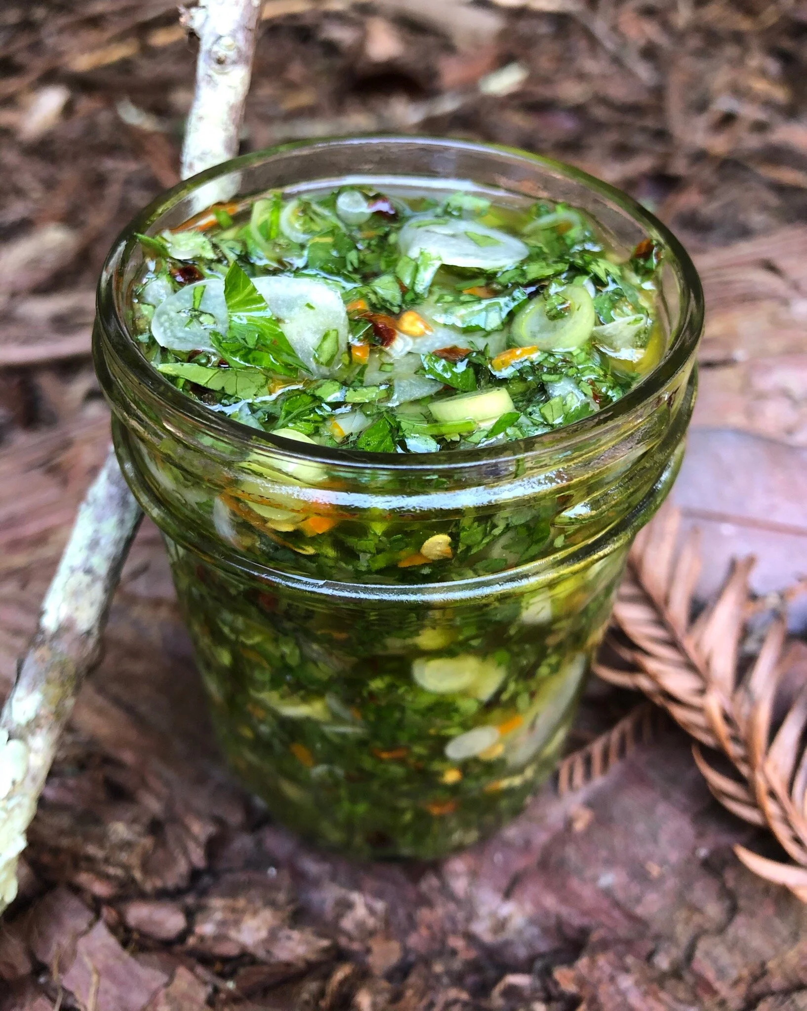 Fermented Garlic Chimi 1.jpg