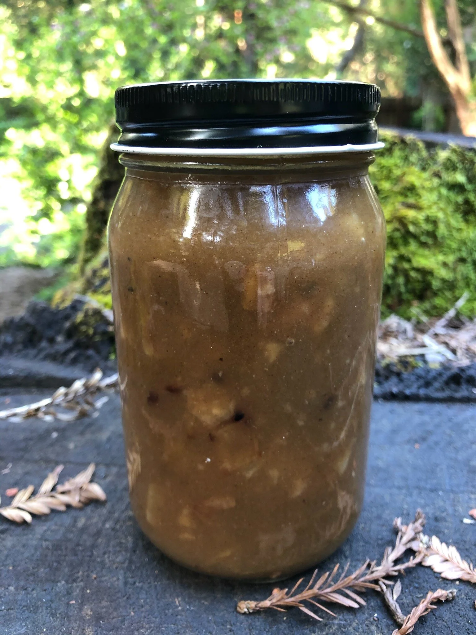 Bone Broth Gravy.jpg