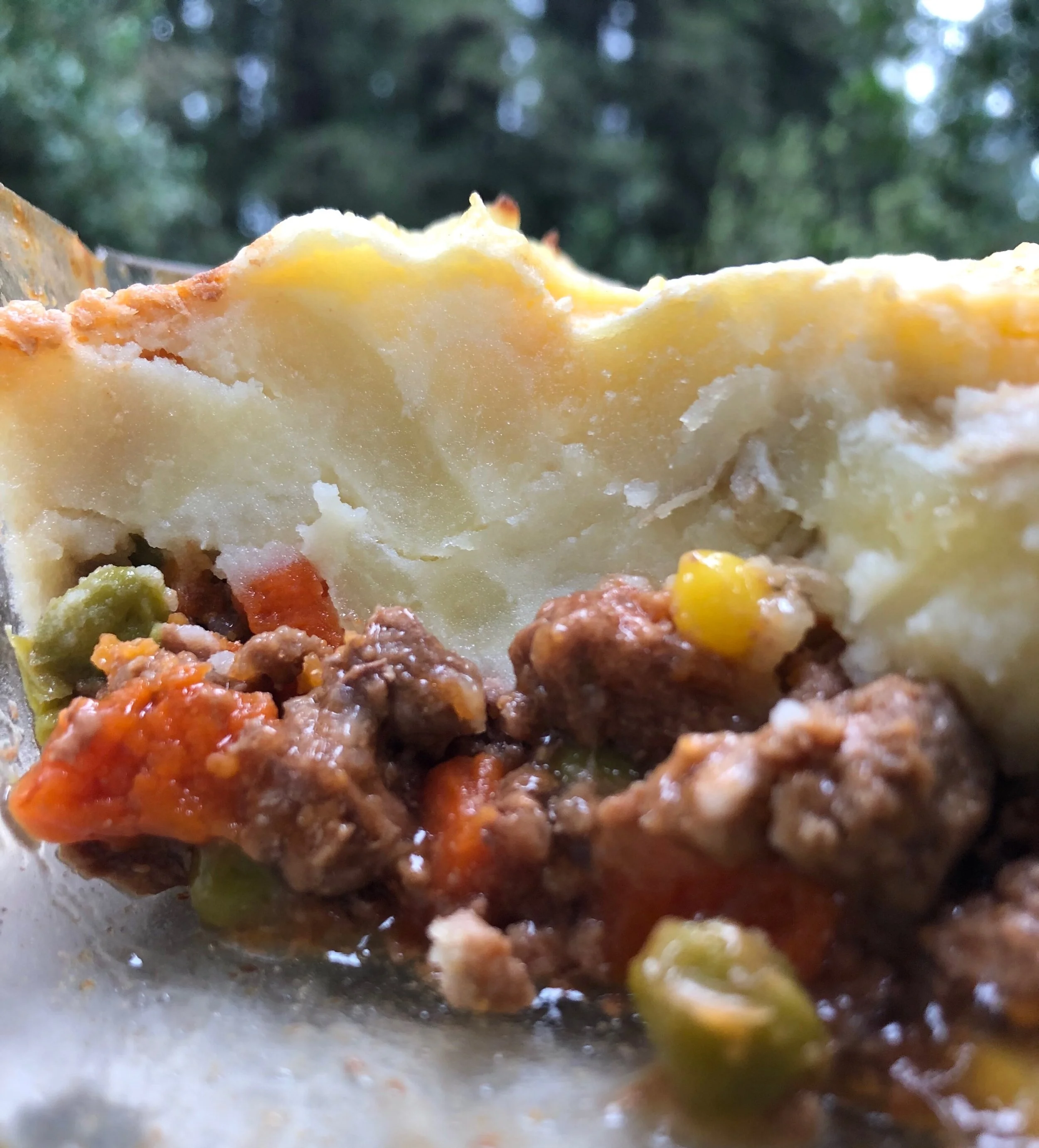 Shepherd's Pie.jpg