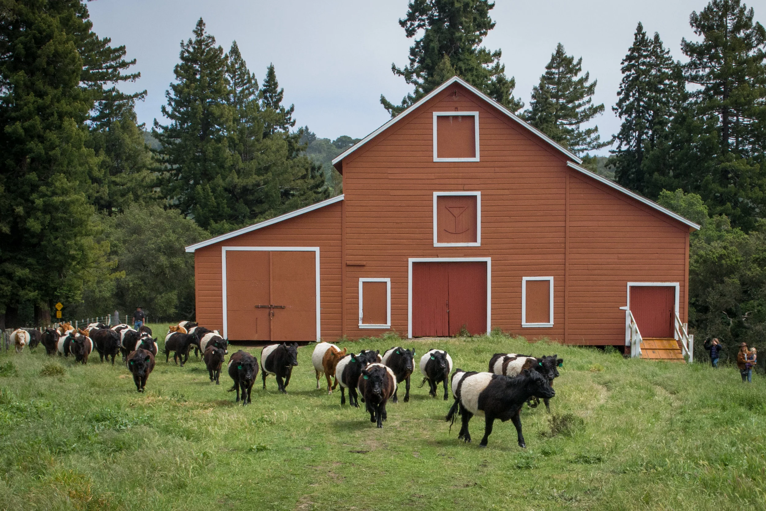 Markegard - April 18, 2014-62.jpg