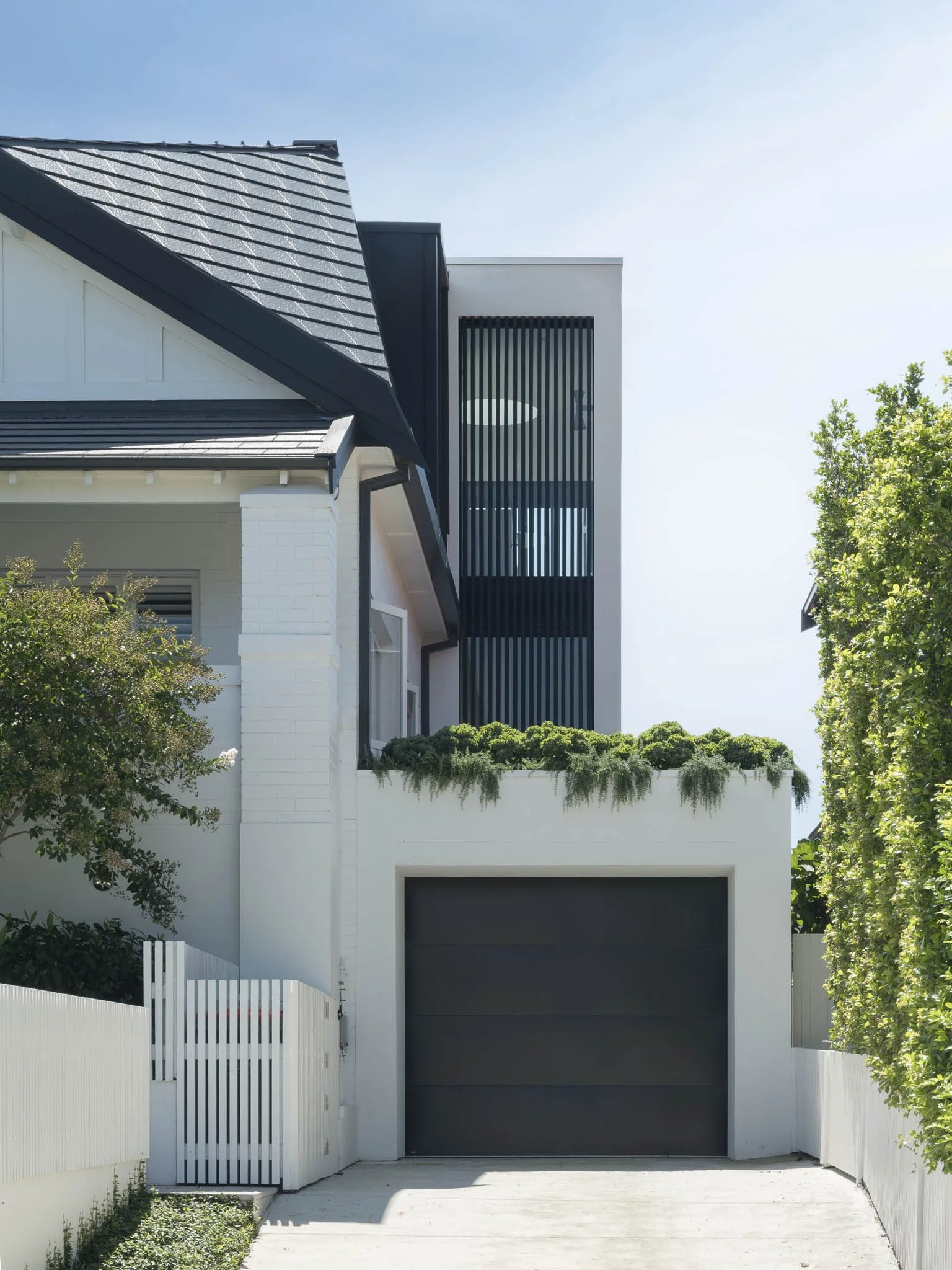TFPhoto_Winburn Ave_0298_PS.jpg