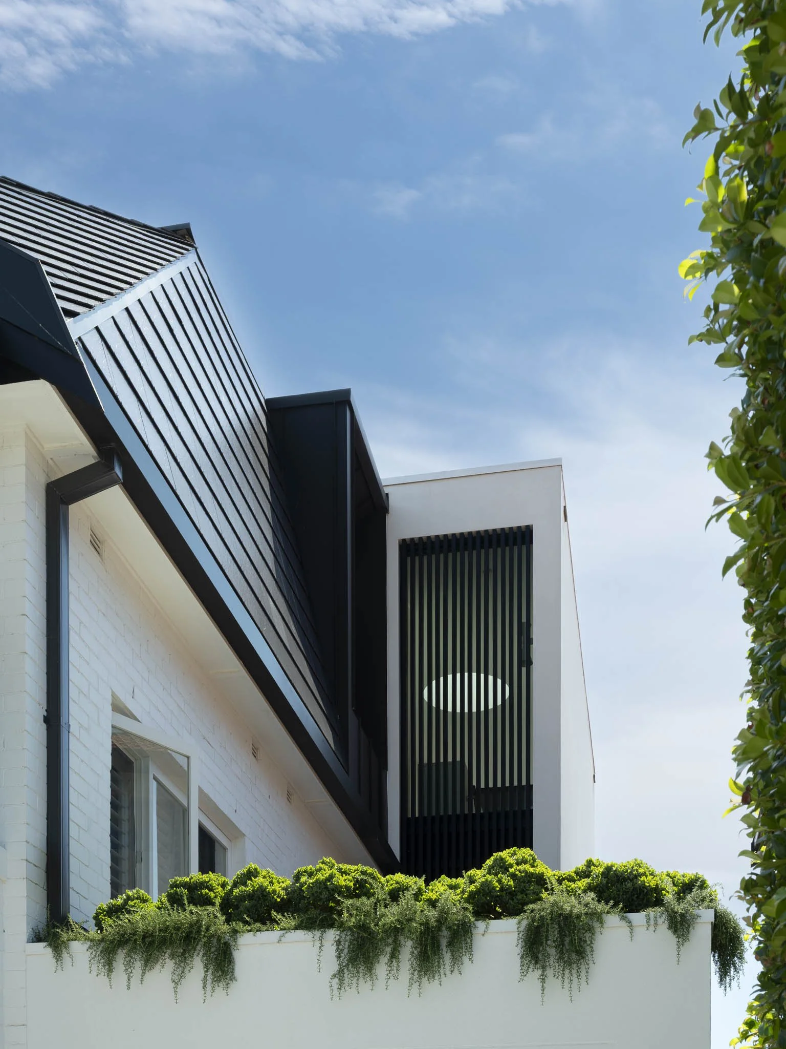 TFPhoto_Winburn Ave_0202_PS.jpg