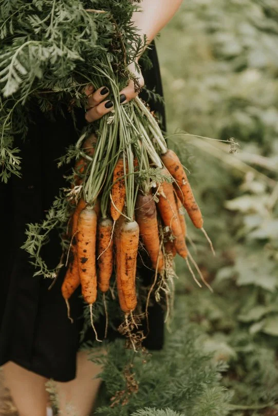 5 practical reasons why eating food in season is good for you.
